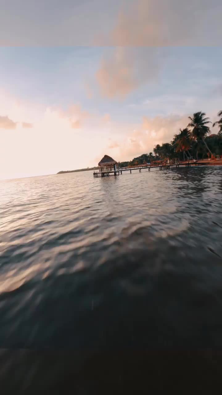 Drone Adventure in Belize: A Near-Miss Landing