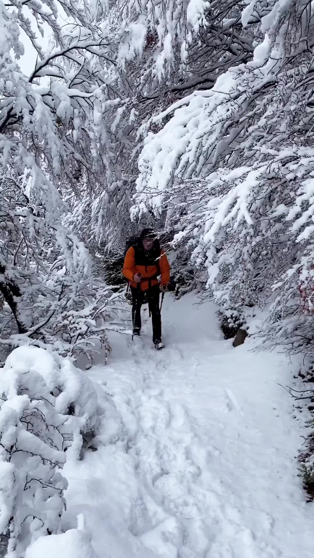 Winter Wonderland at Refugio Frey, Bariloche