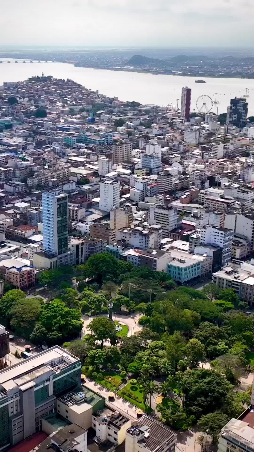 Discover Parque Centenario in Guayaquil, Ecuador