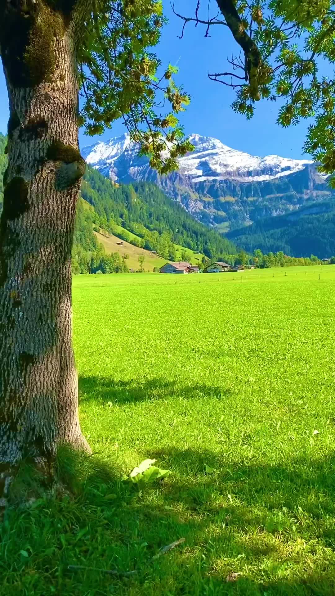 Stunning Mountain Views in Lenk im Simmental, Switzerland