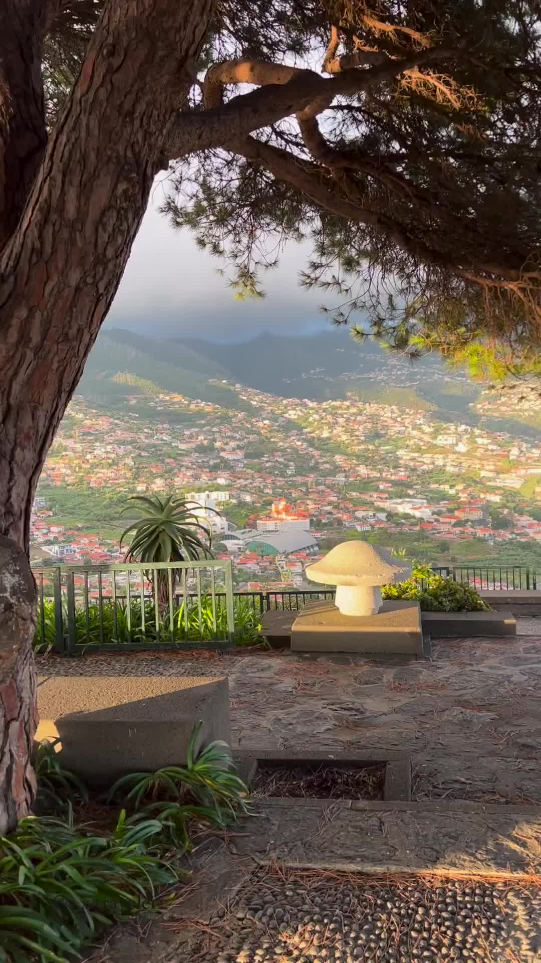 Discover Miradouro Pico dos Barcelos, Madeira