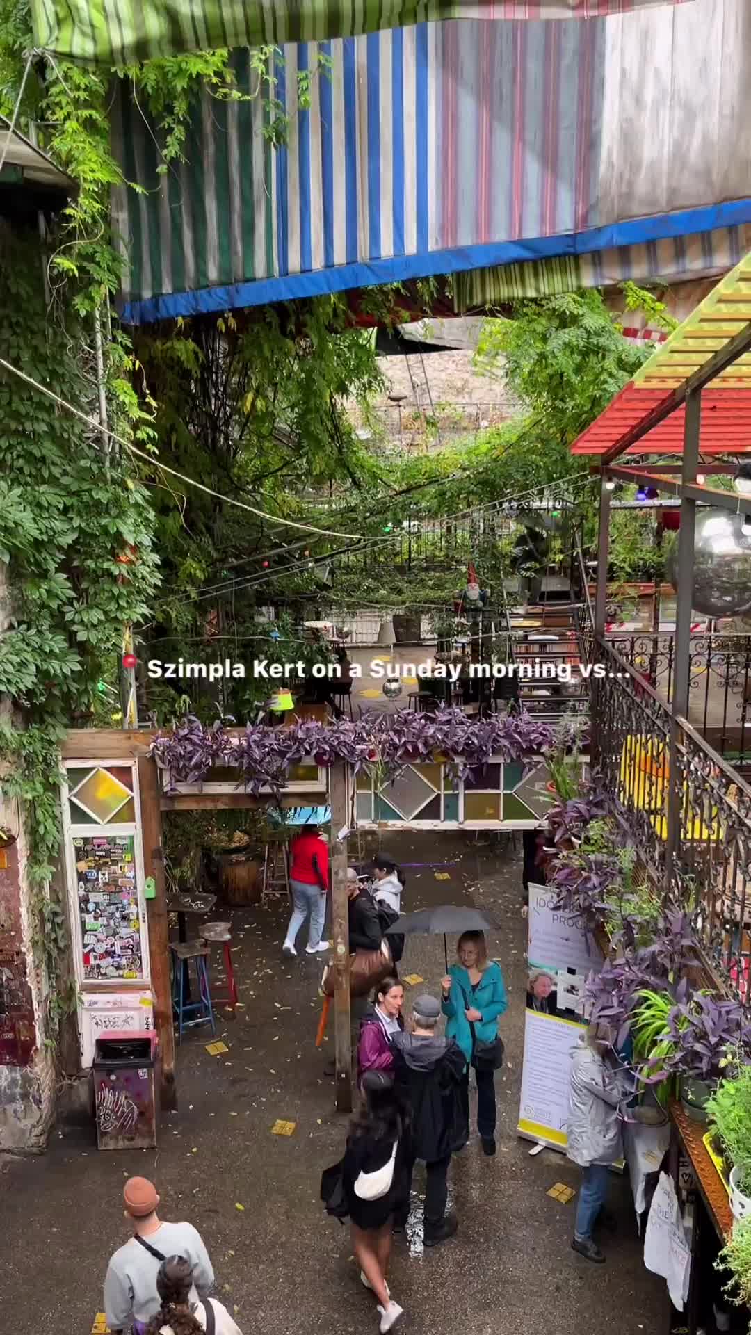 🪩Szimpla Kert, the iconic ruin bar in Budapest.

🍻Ruin bars are like a piece of history transformed into cool vintage hangouts.

👩‍🎨They have a relaxed, bohemian vibe and started in the early 2000s when creative artists and entrepreneurs saw potential in abandoned buildings.

🌿Szimpla Kert is the oldest ruin bar in Budapest and a must-visit. It has a huge outdoor area, two floors and evening concerts and theatre. Plus, they host a farmer’s market every Sunday.👩‍🌾

Would you visit?

#budapest #hungary #ruinbar