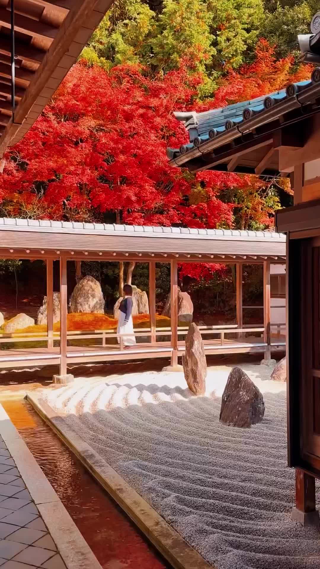 Discover Japan's Autumn Beauty in Kusatsu 2023🍁