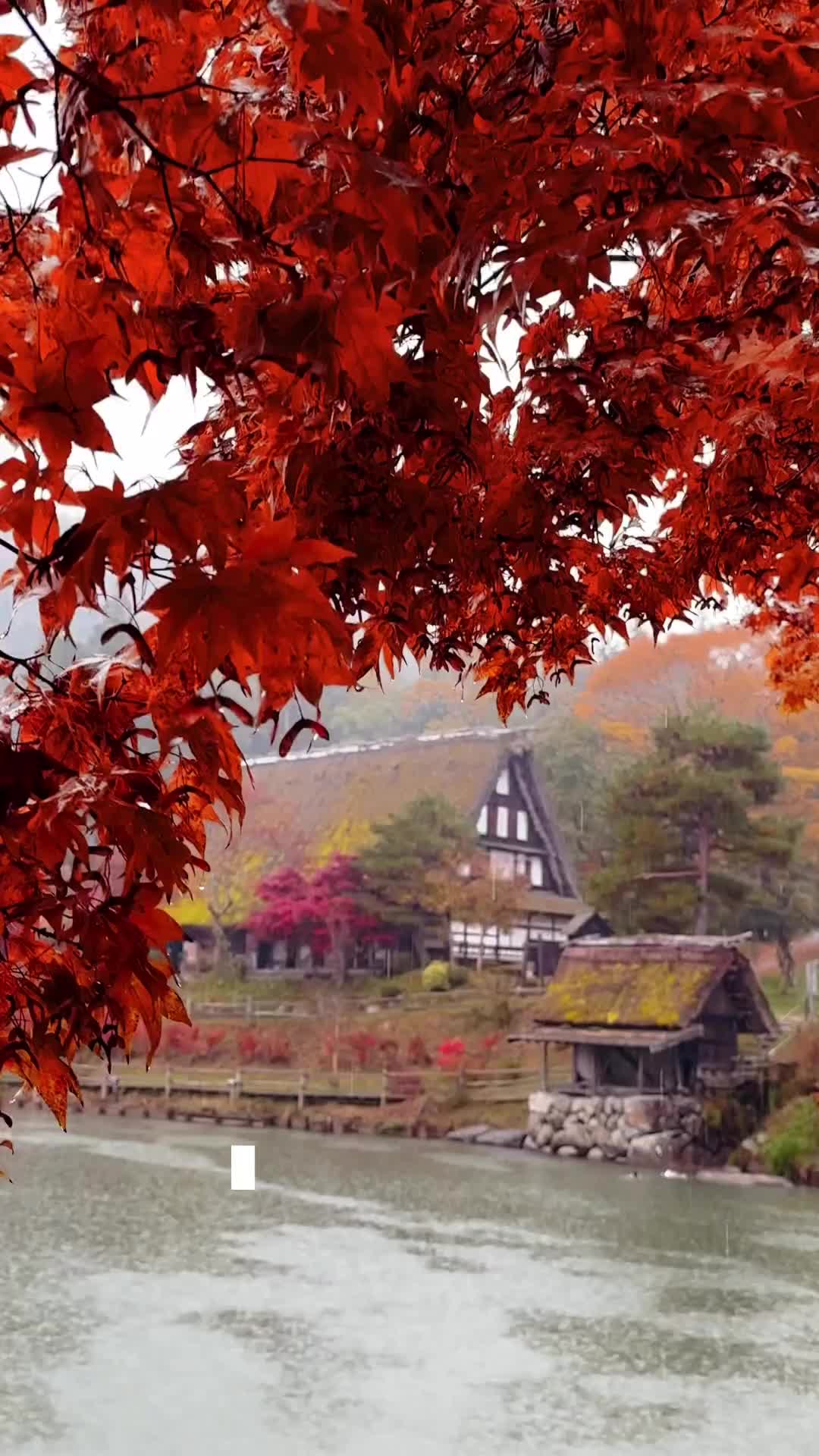 Explore Hida no Sato in Autumn - Gifu, Japan