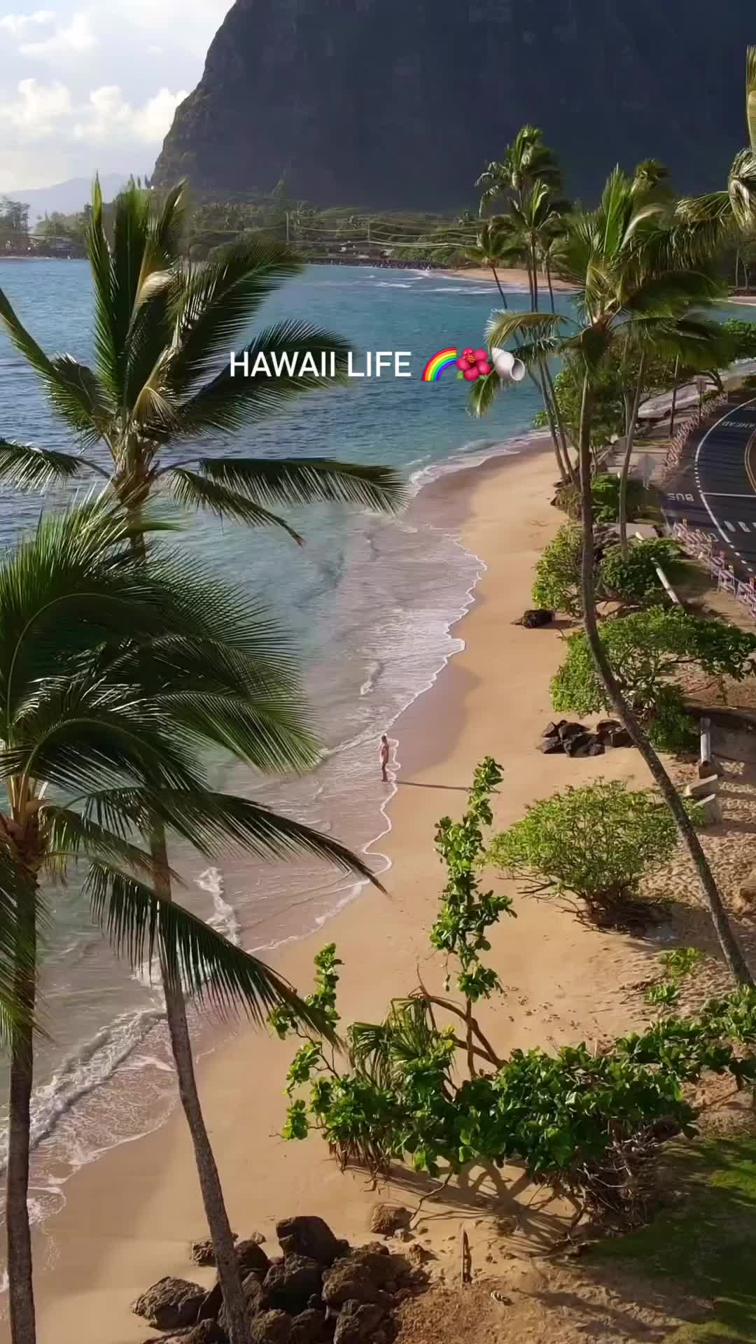 Dreaming of Hawaii? Explore Oahu with Jess Melu!