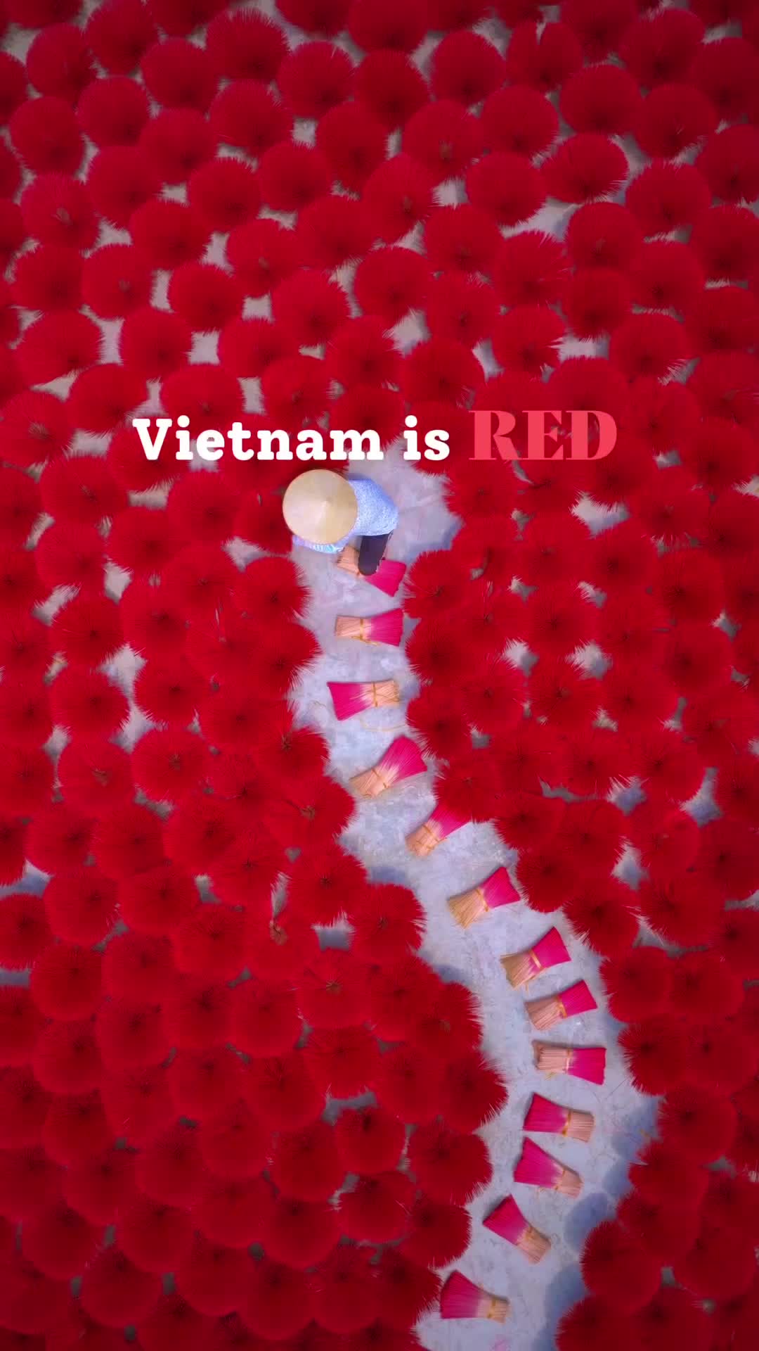 Vietnam Adventure: 5000 km in 30 Days of Color & Culture