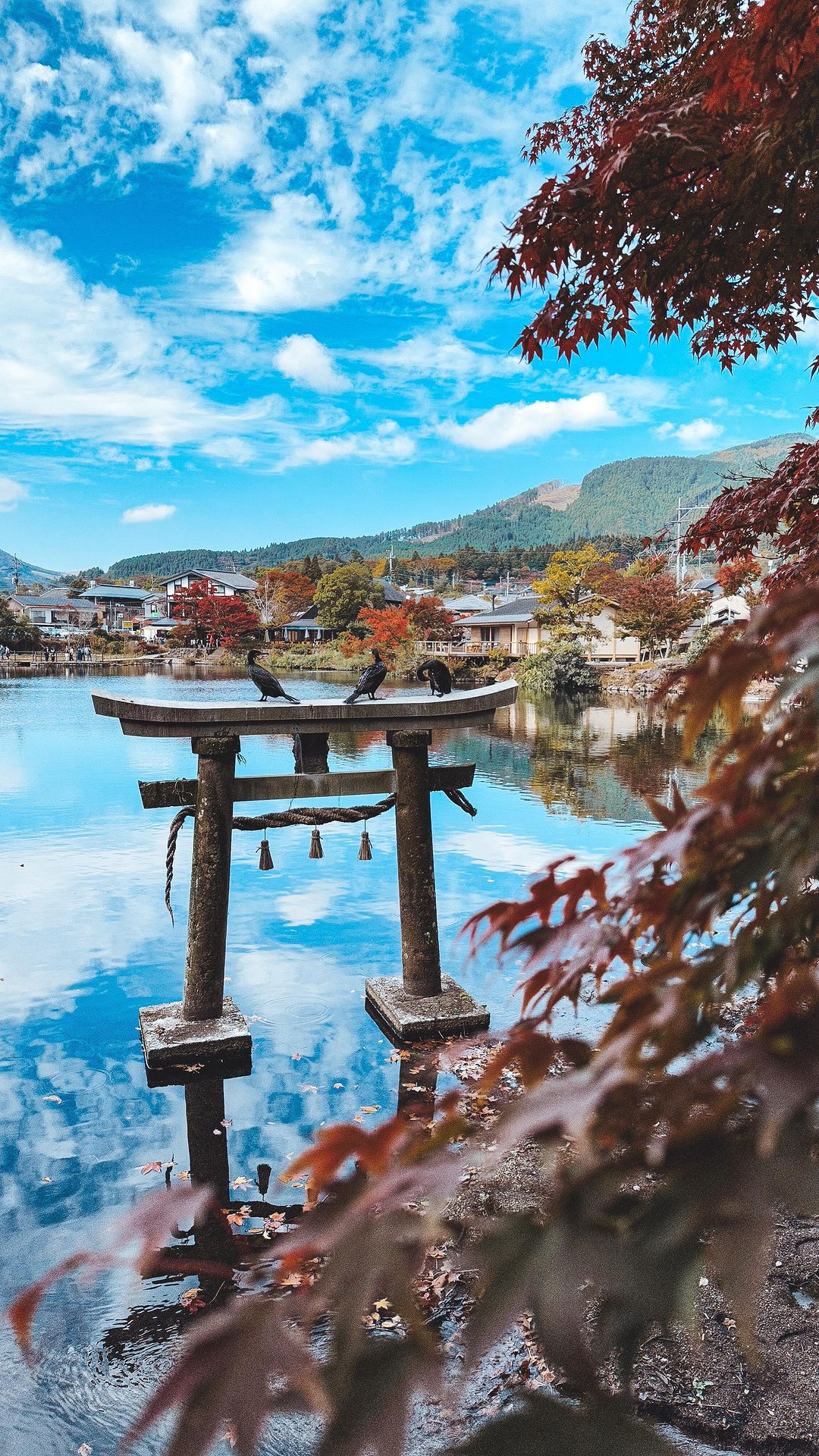 Cultural Immersion in Yufu: Markets, Crafts & Onsen Delights