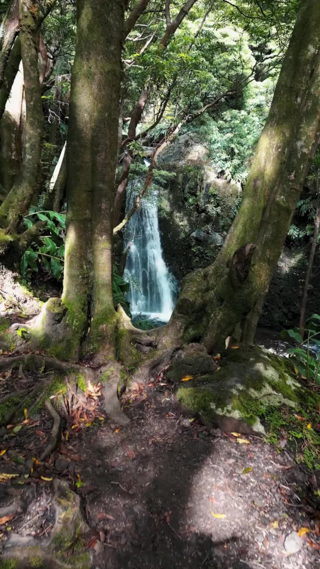 Embrace Calmness at Salto Do Prego Waterfall, Portugal
