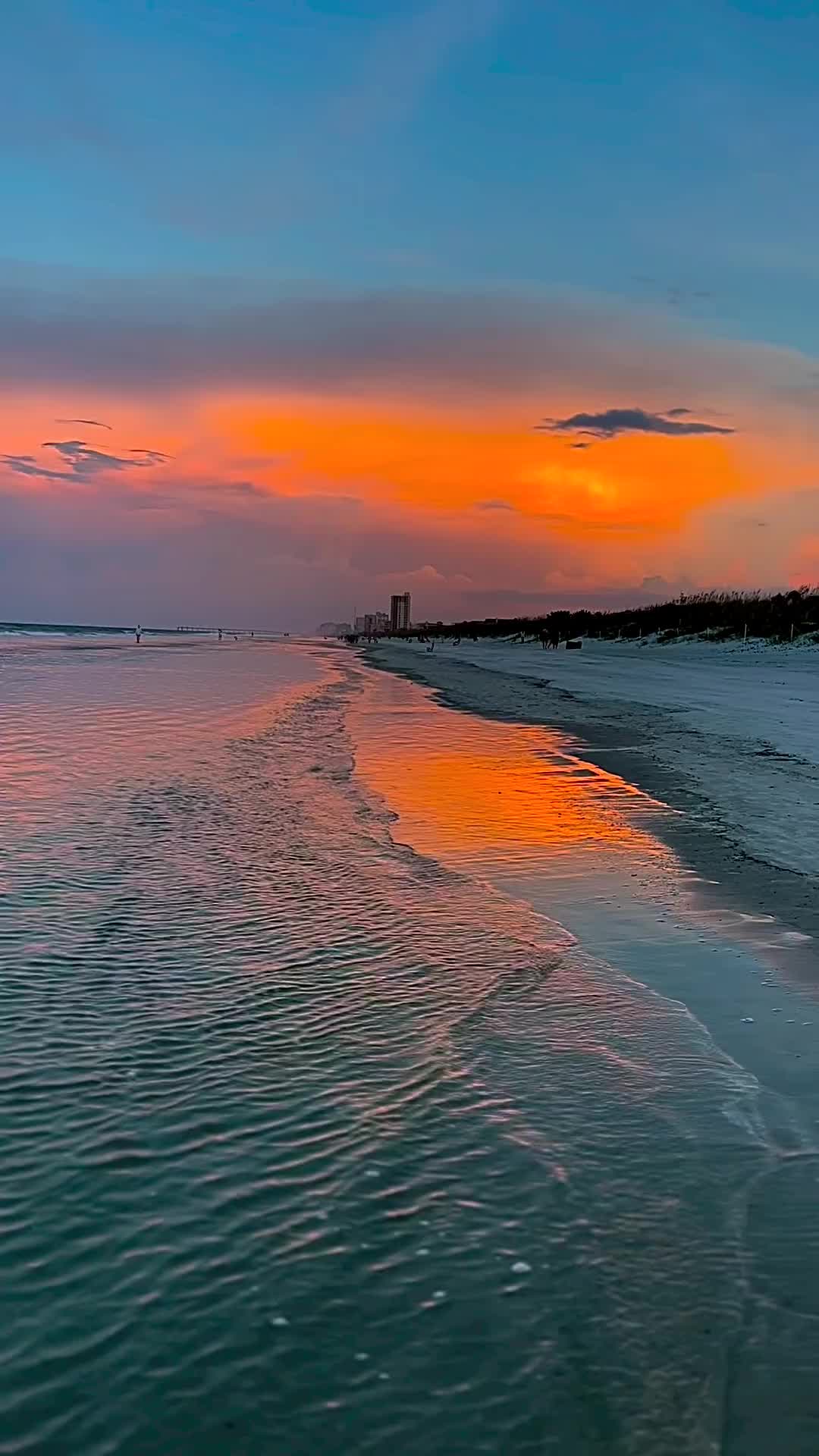 Magic Sunsets in Jacksonville, FL 🌅