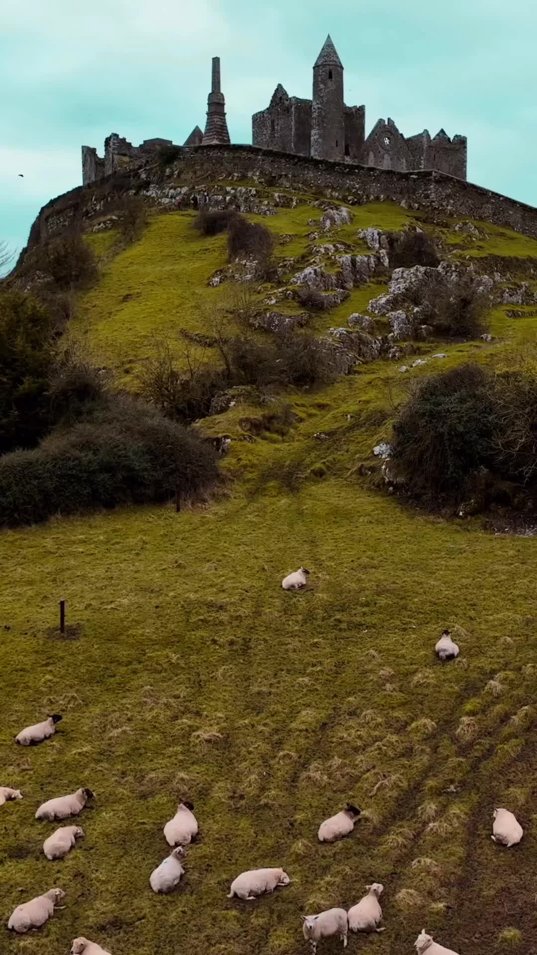 Discover the Historic Rock of Cashel in Ireland