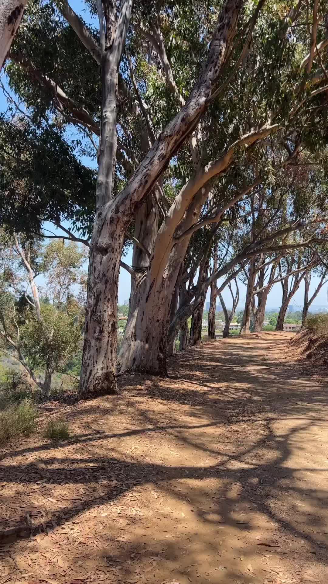 Explore Inspiration Point Trail at Will Rogers State Park