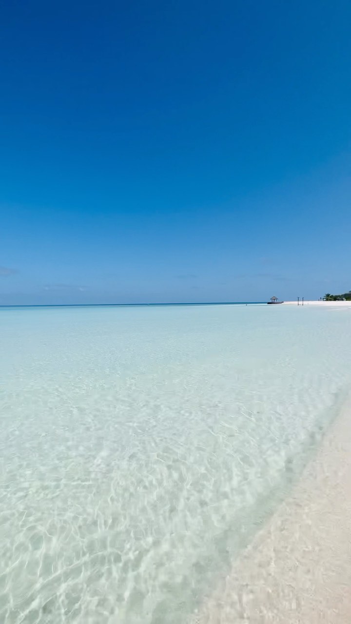 absolutely immaculate sandbank energy at @anantaradhigu 💙

have you ever seen more stunning blues? im not so sure i have…
.
.
.
🏝🏝follow @maldives.postcards for more maldives content 🏝🏝
🏝🏝follow @maldives.postcards for more maldives content 🏝🏝
.
.
.
#maldives #maldivesislands #maldivesresorts #luxury #beachlife #overwaterbungalow #overwatervilla #luxurytravel #luxurytraveller #fourseasons #luxurymaldives #conradmaldives #picoftheday #travel #nature #photooftheday #travelgram #likeforlike #naturephotography #follow #luxuryresorts #tropical #maldivesluxury #beach #sand #sun #tropics #wmaldives #explorepage #Мальдивы