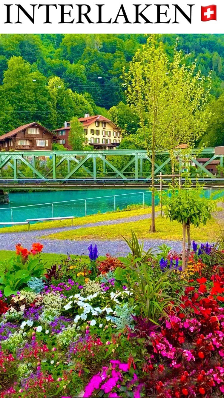 Scenic Hikes and Lake Cruises in Interlaken