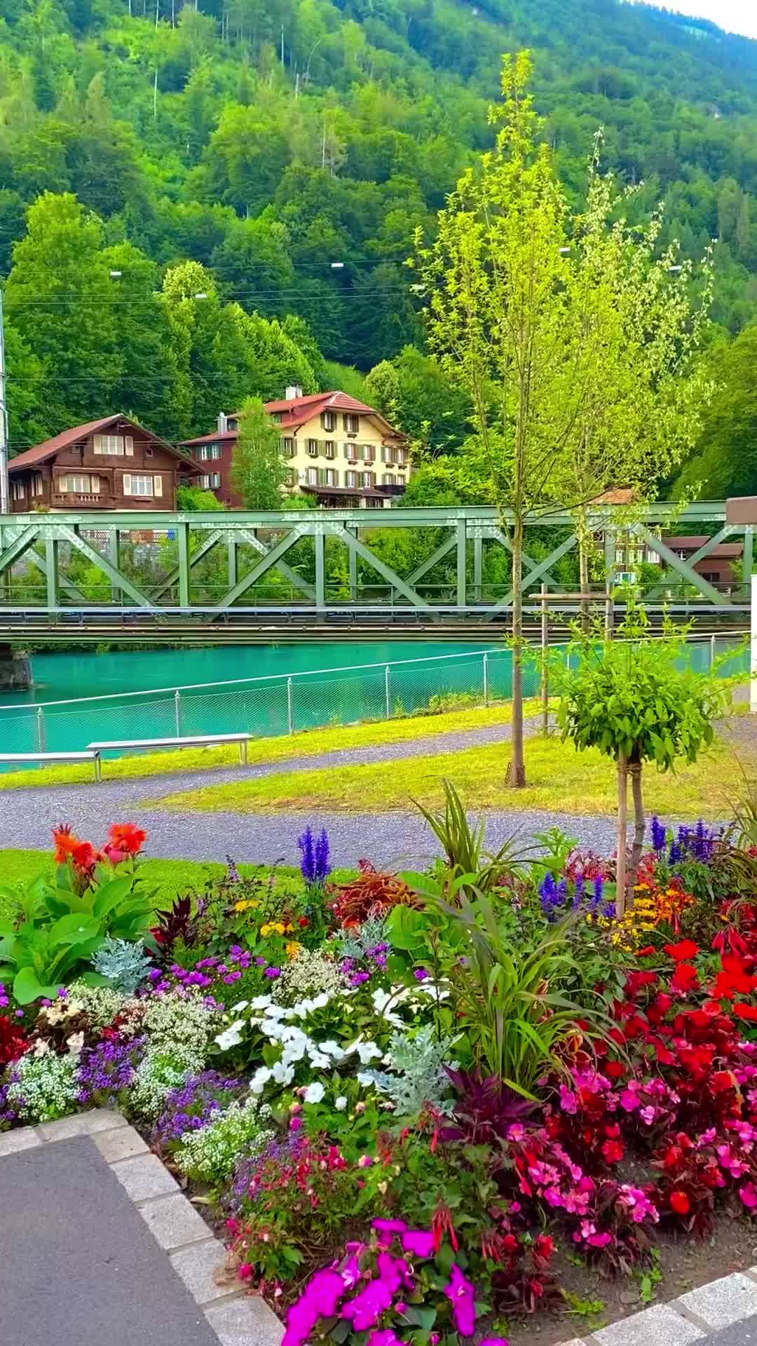 Discover Interlaken's Summer Flower Paradise