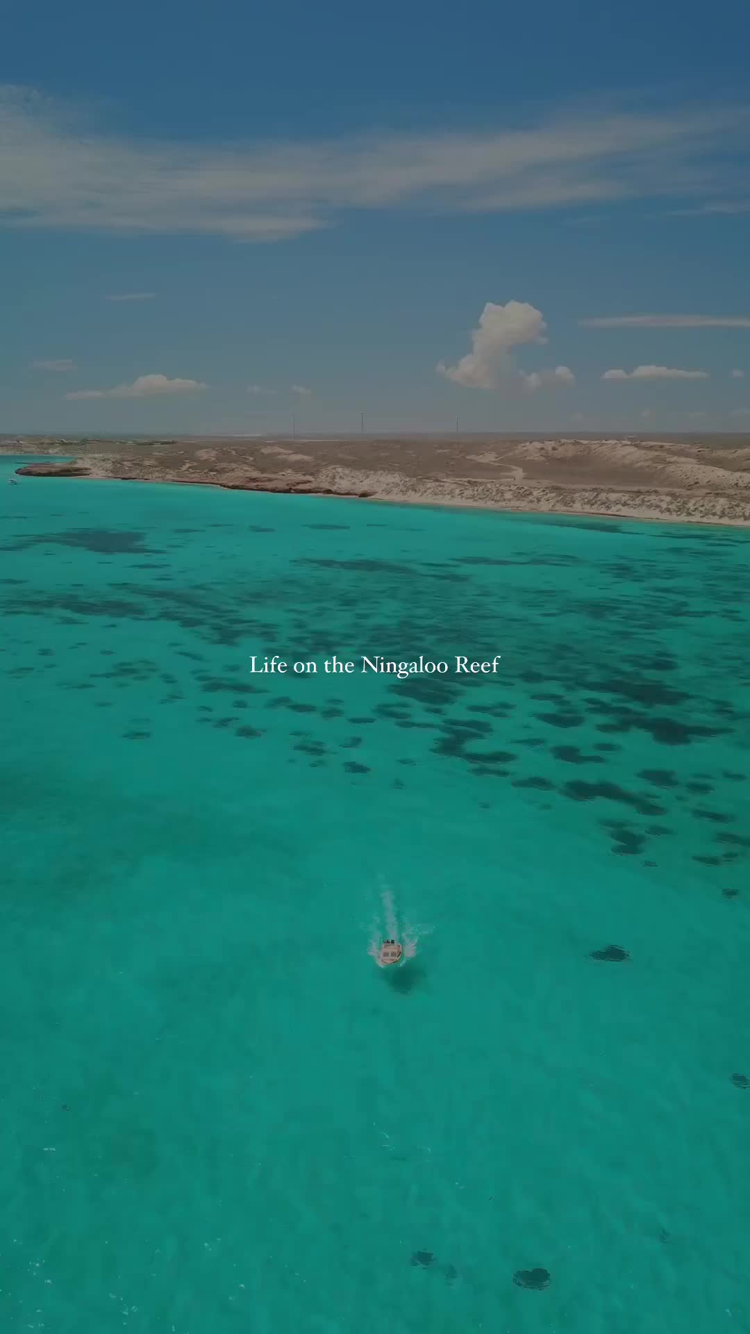 A little taste of the Ningaloo Reef coast 💦🚤🤿
.
.
.
#ningalooreef #boatlife #ocean #beachlife #troopylife