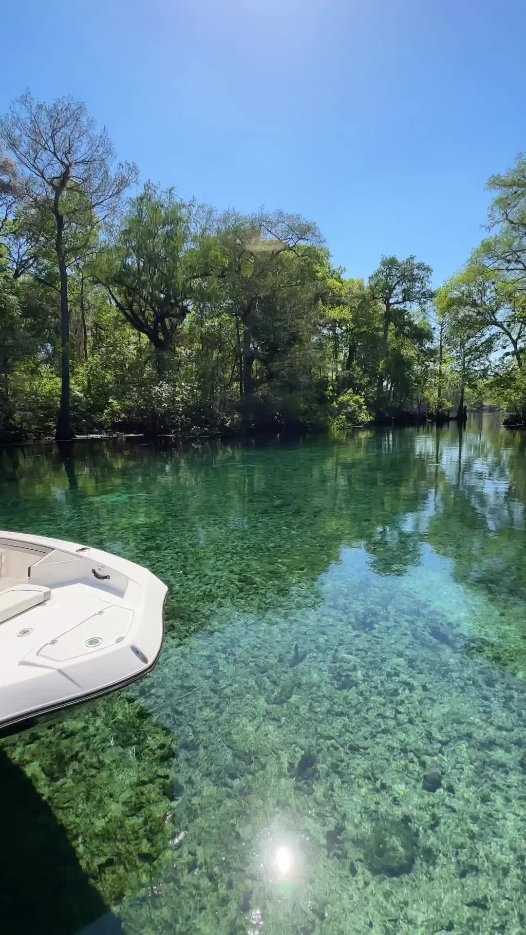 Discover Fanning Springs: Florida's Hidden Gem