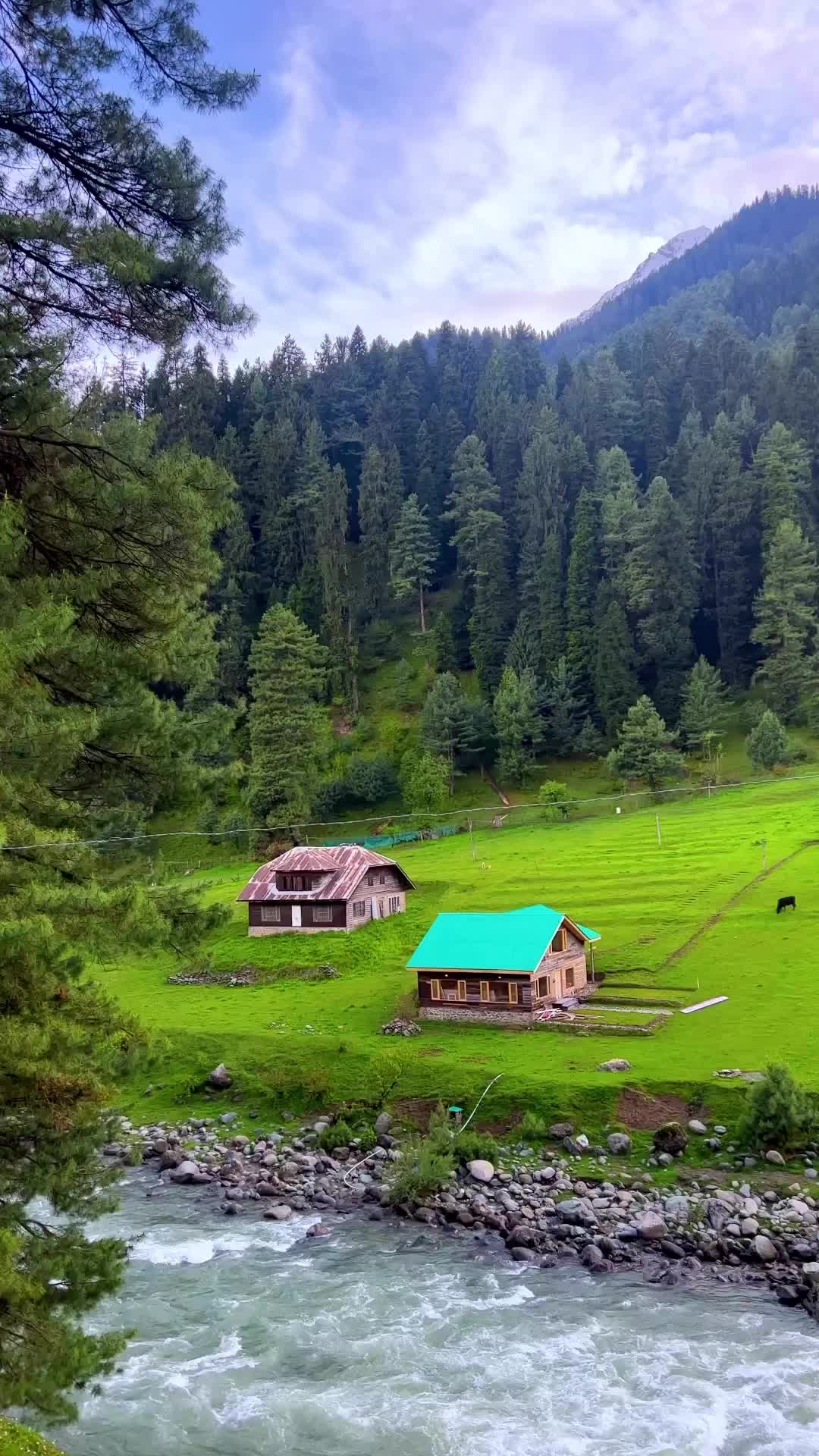 Best Moments in Pahalgam, Kashmir | Nature's Tranquility