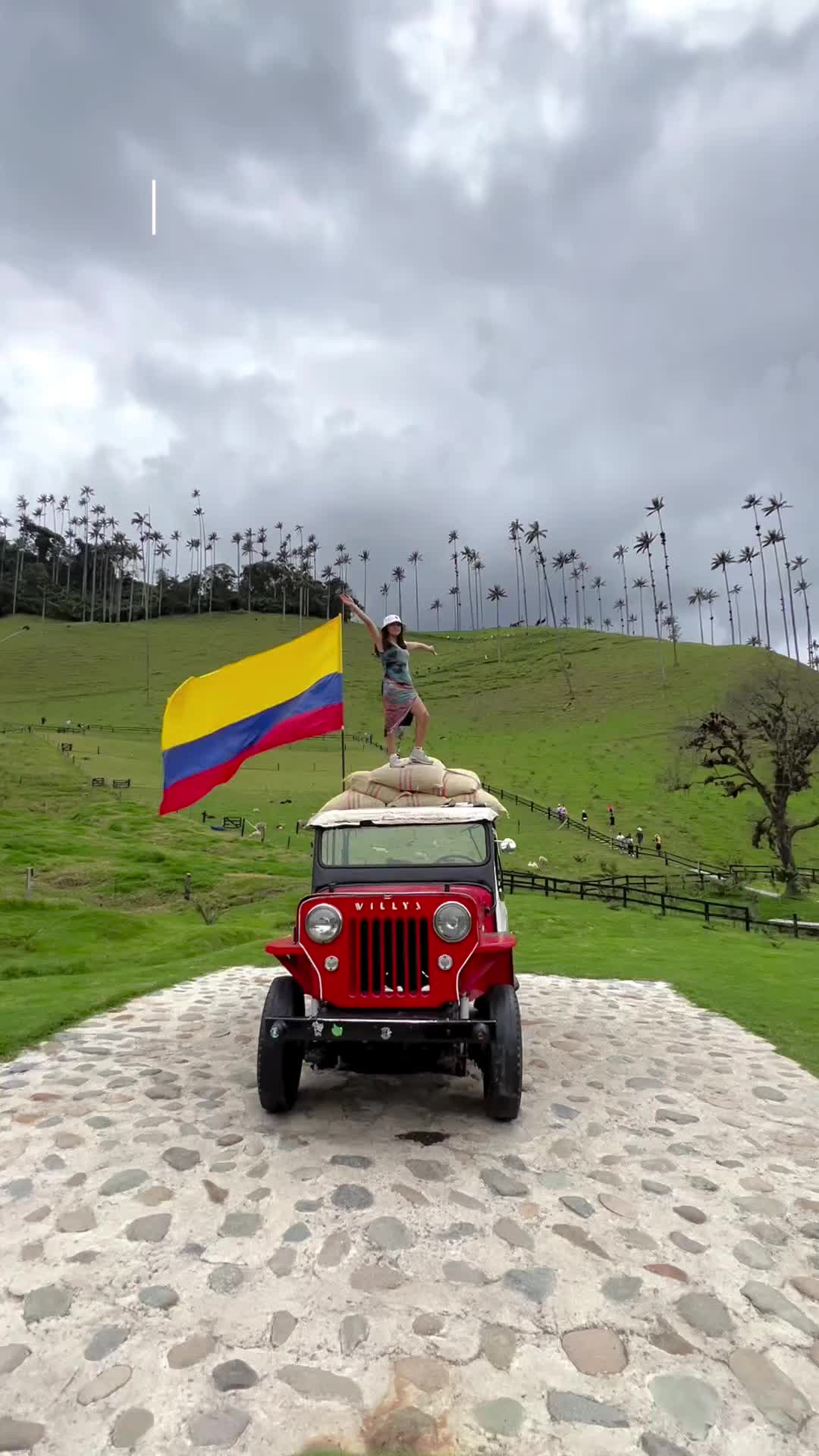 Discover the Stunning Valle del Cocora in Colombia