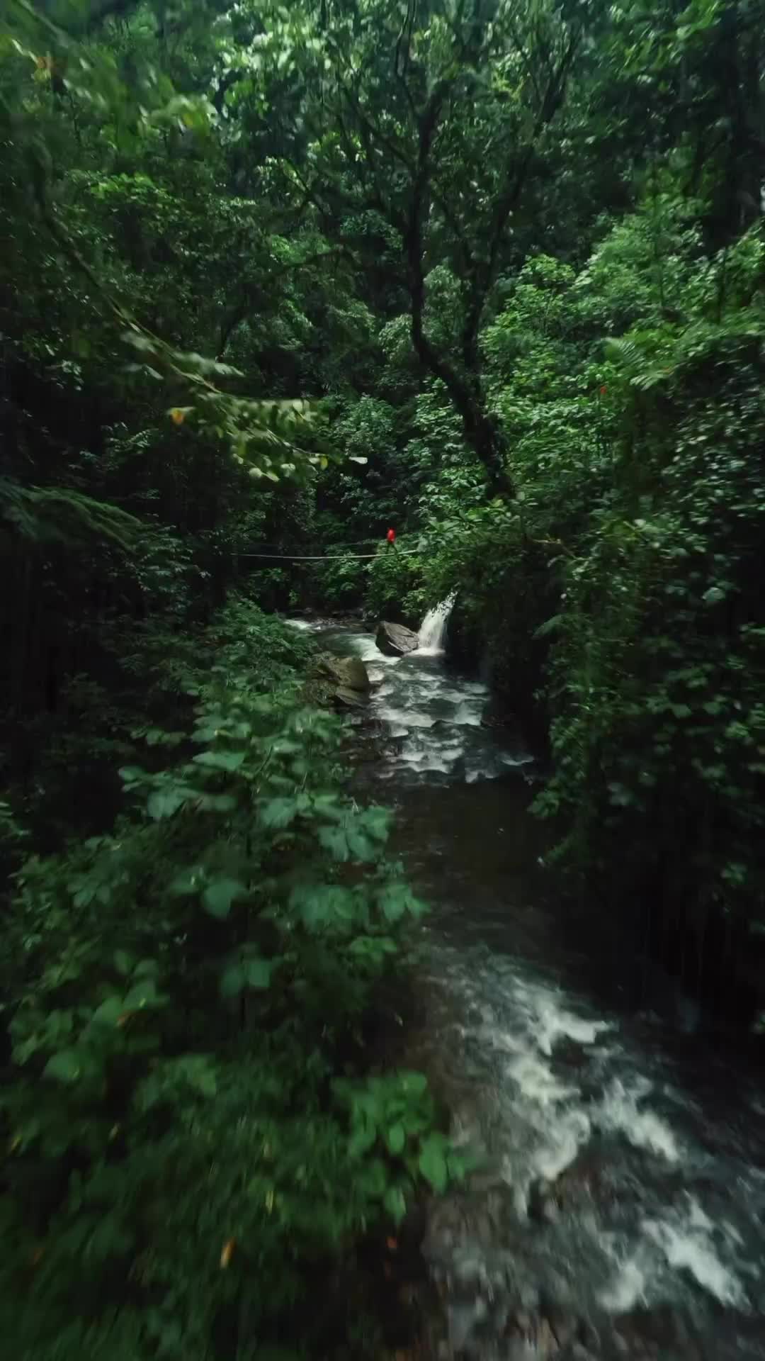 Exploring Costa Rica's El Tigre Waterfalls 🌿🇨🇷