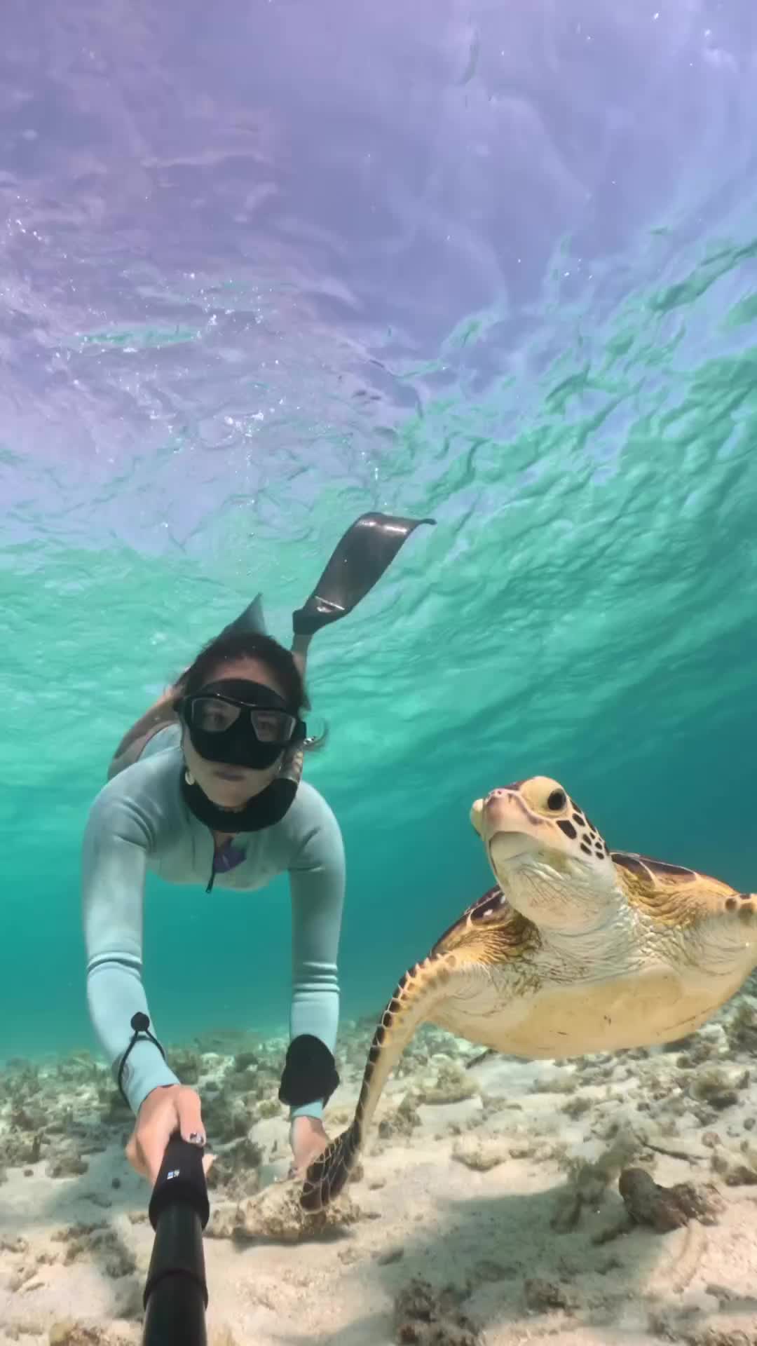 Selfie with a Sea Turtle in Okinawa 🐢 | GoPro Hero 11