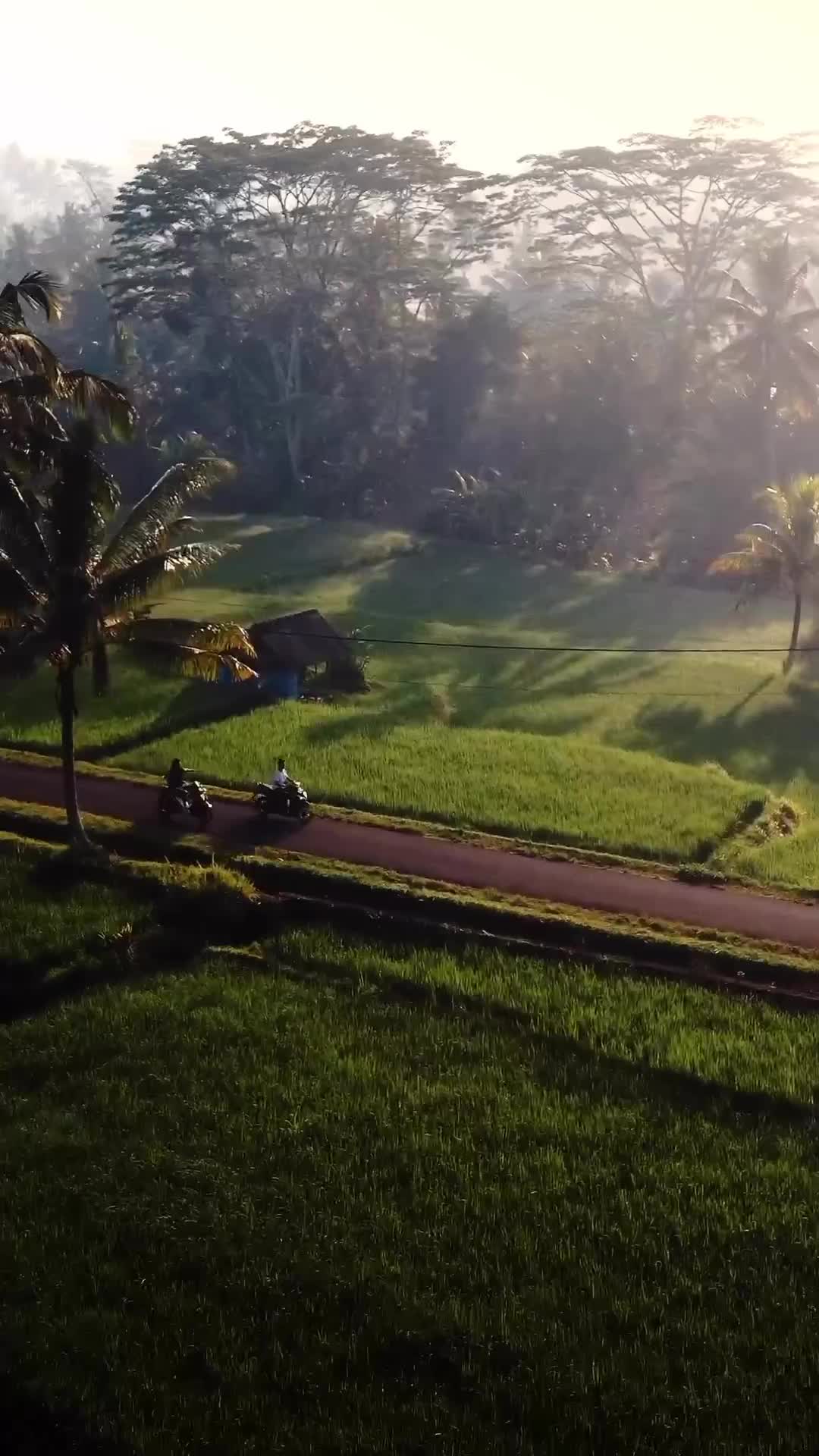 Why Fit In When You Can Stand Out in Bali, Indonesia