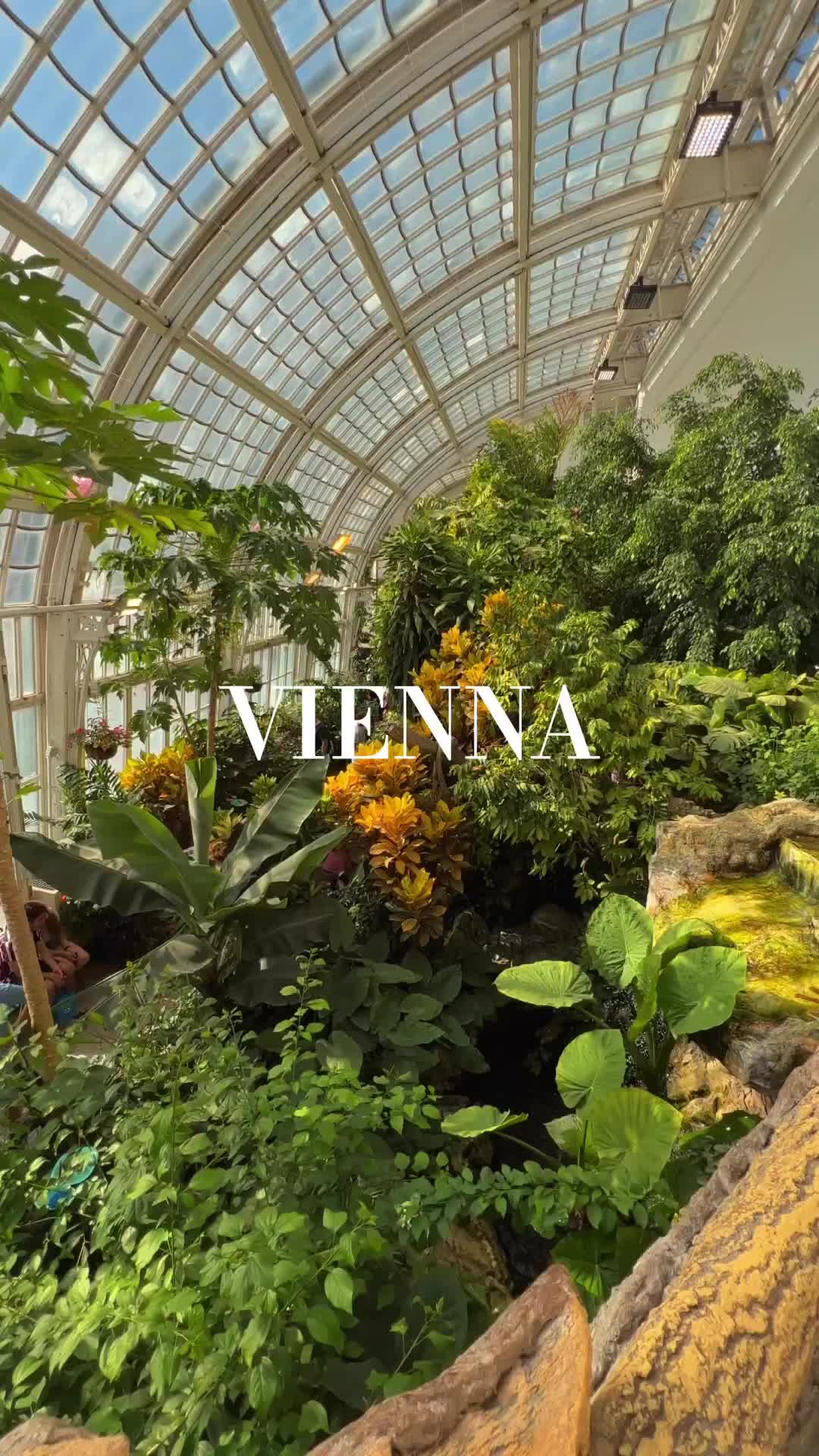 Discover Vienna: Austria's Historic and Scenic Gem