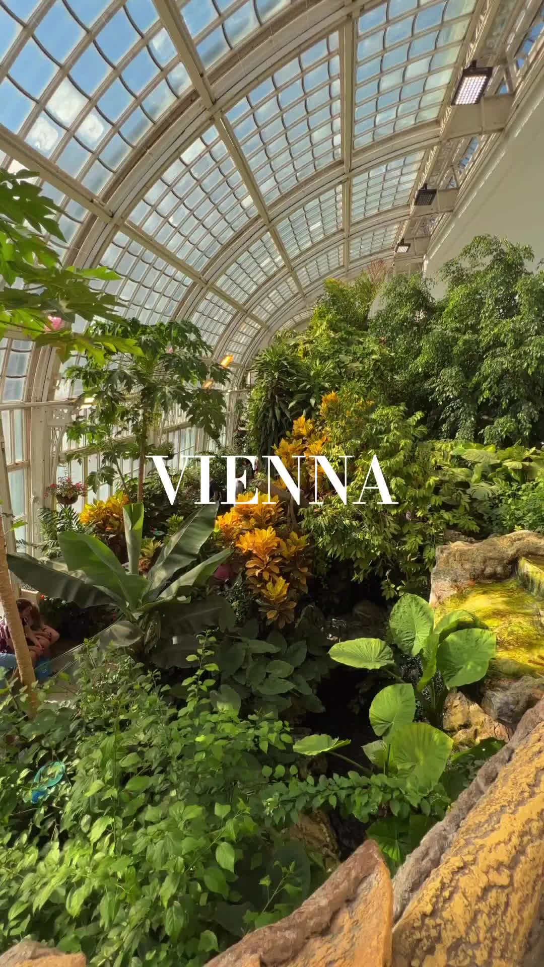 Vienna, Austria ❤️🇦🇹
.
.
.
.
#vienna #wien #visitvienna #viennanow #viennaaustria #viennagram #wienstagram #wien #beautifuldestinations #travellingthroughtheworld #passionpassport #österreich #austria #austria🇦🇹 #austriavacations #austriagram #viennacity