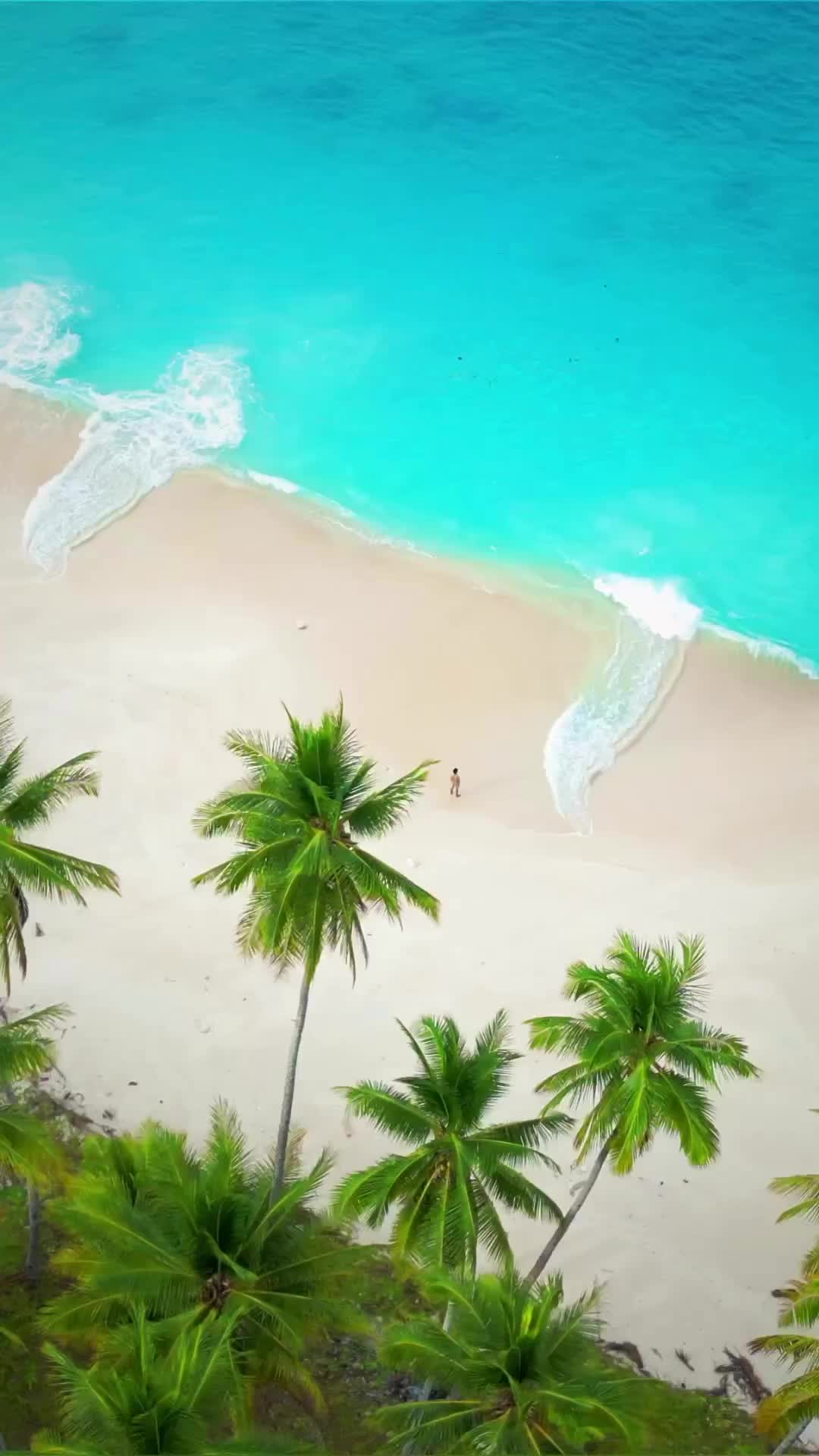 Hidden Paradise: Pantai Mandel, Indonesia 🌴🌊