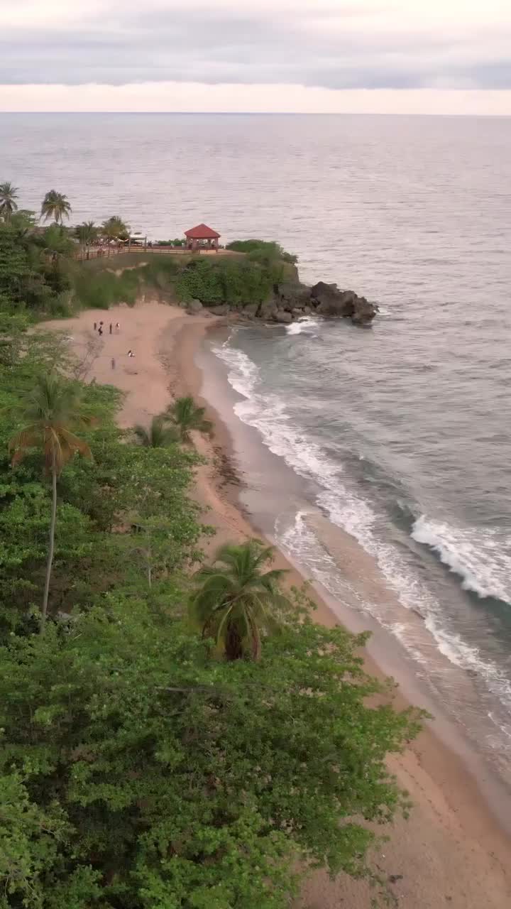 Palm Trees & Ocean Breeze in Rincon, Puerto Rico