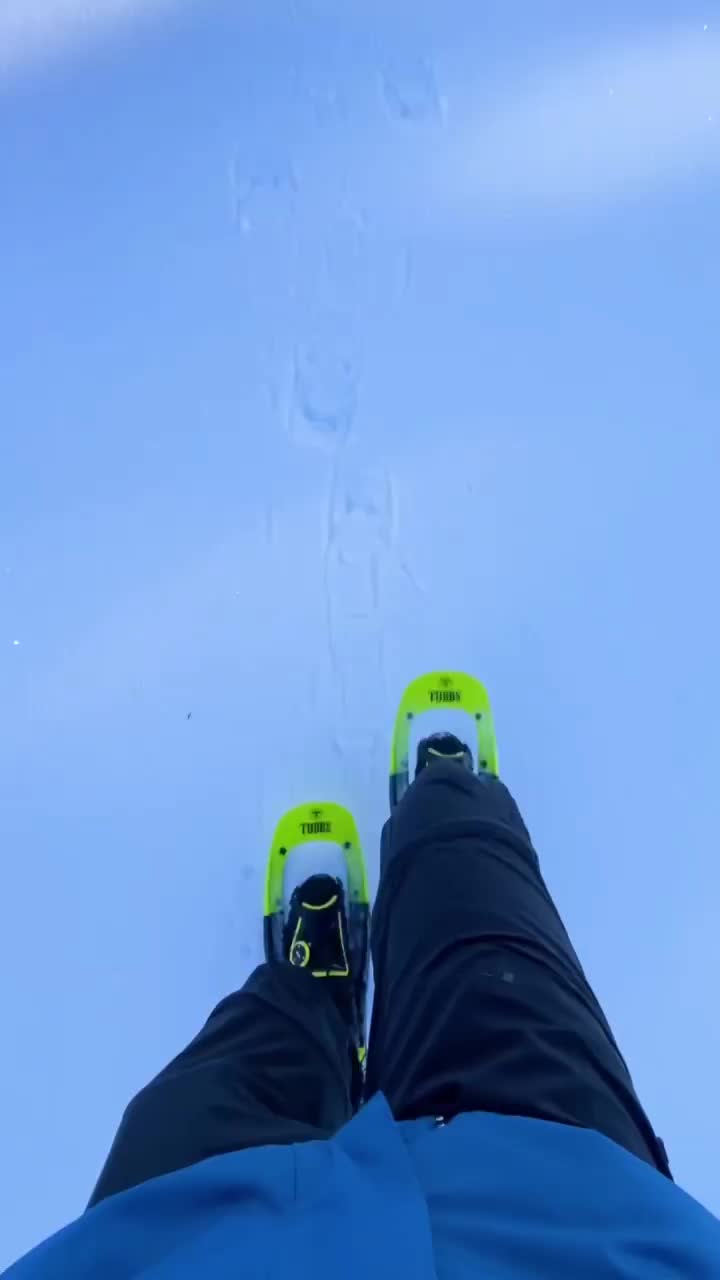 Snowshoeing Adventure in Rotenfluh, Switzerland