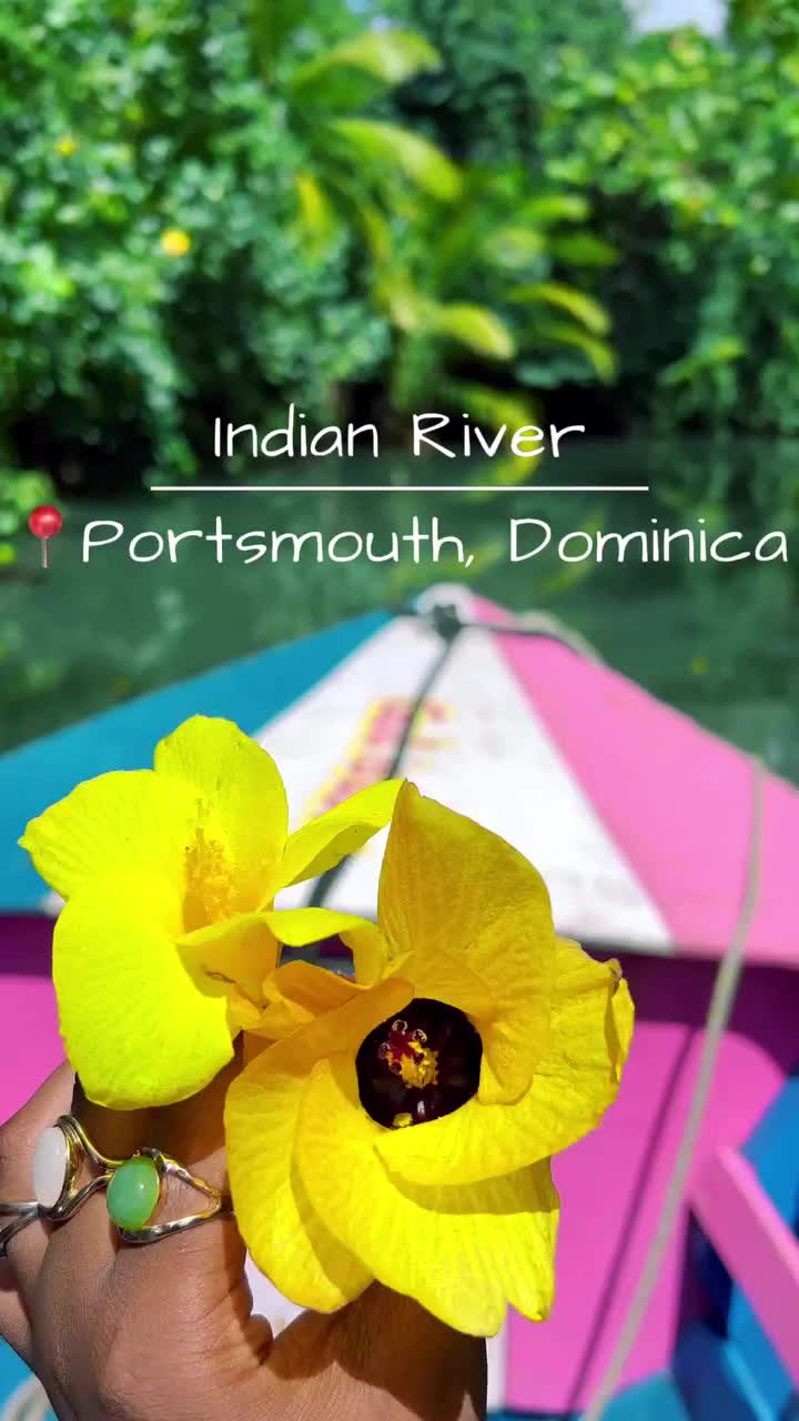 Dreamy Indian River Cruise in Dominica 🌴