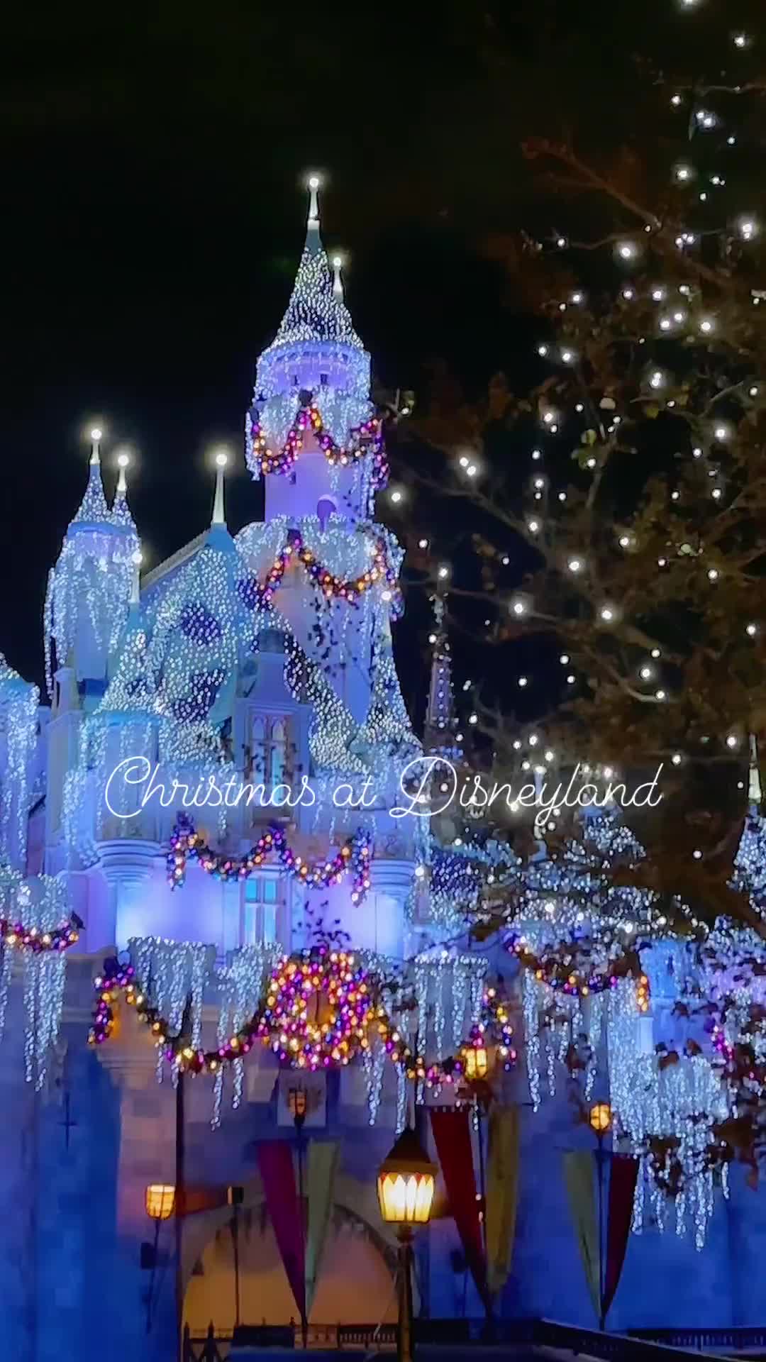 Celebrate Holidays at Disneyland: Food, Fun & Fireworks!