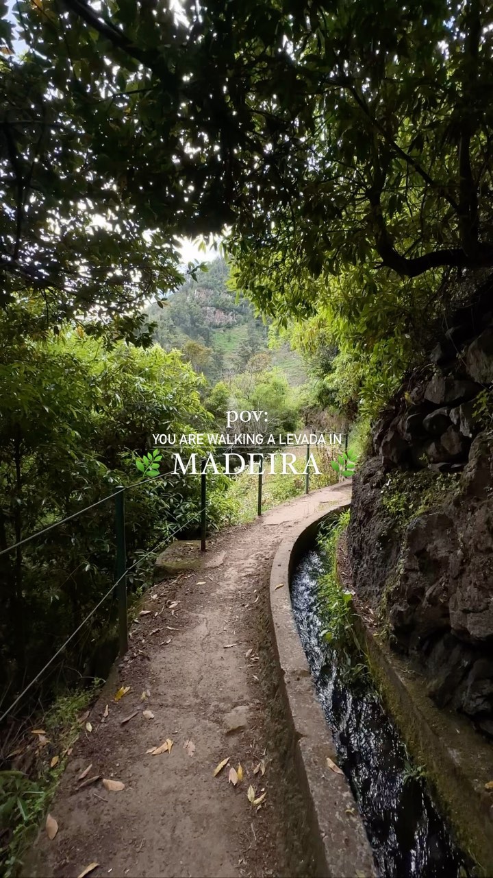 5-Day Adventure in Machico, Madeira