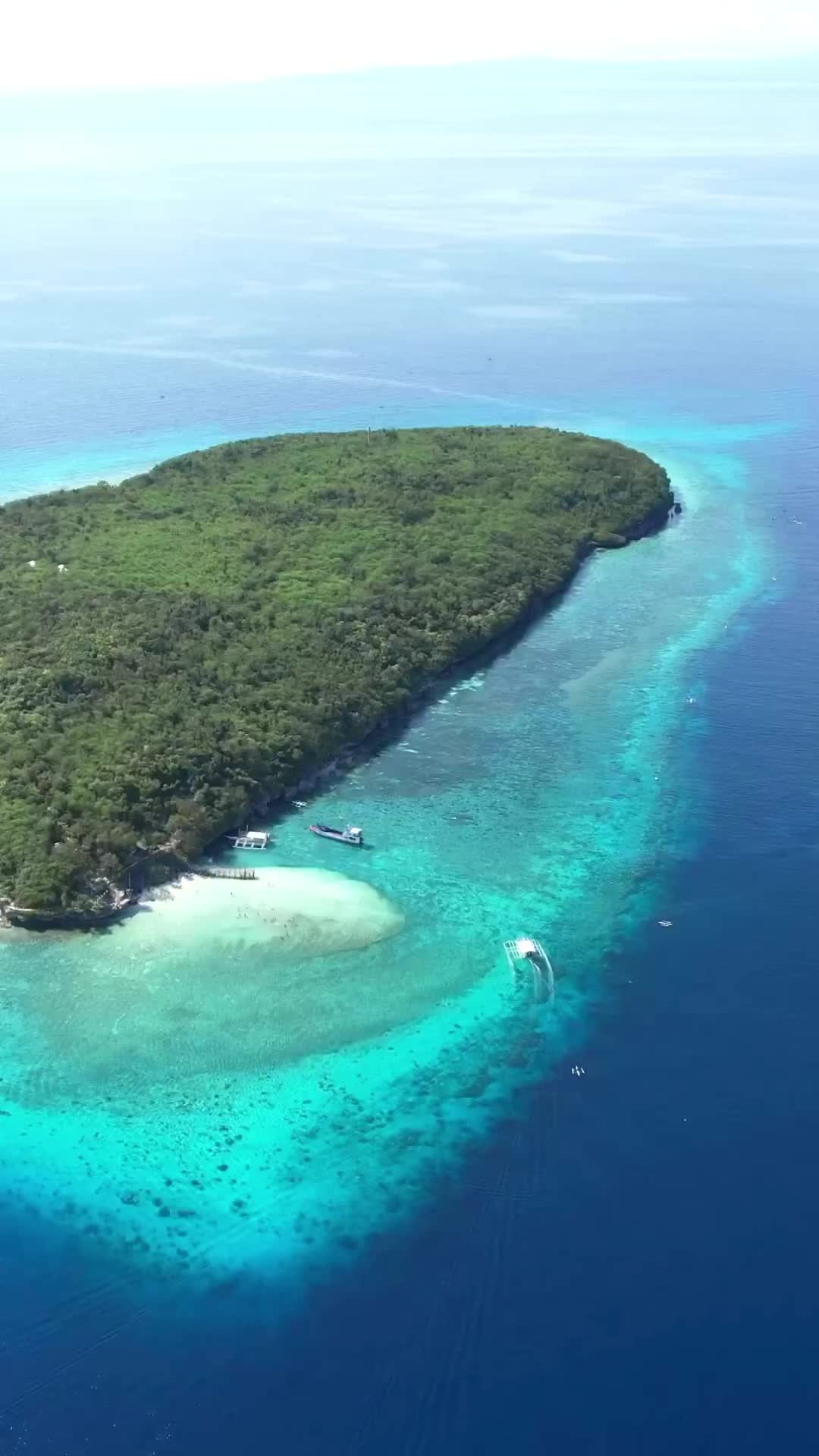 Discover Sumilon Island: Cebu’s Hidden Gem 🏝️