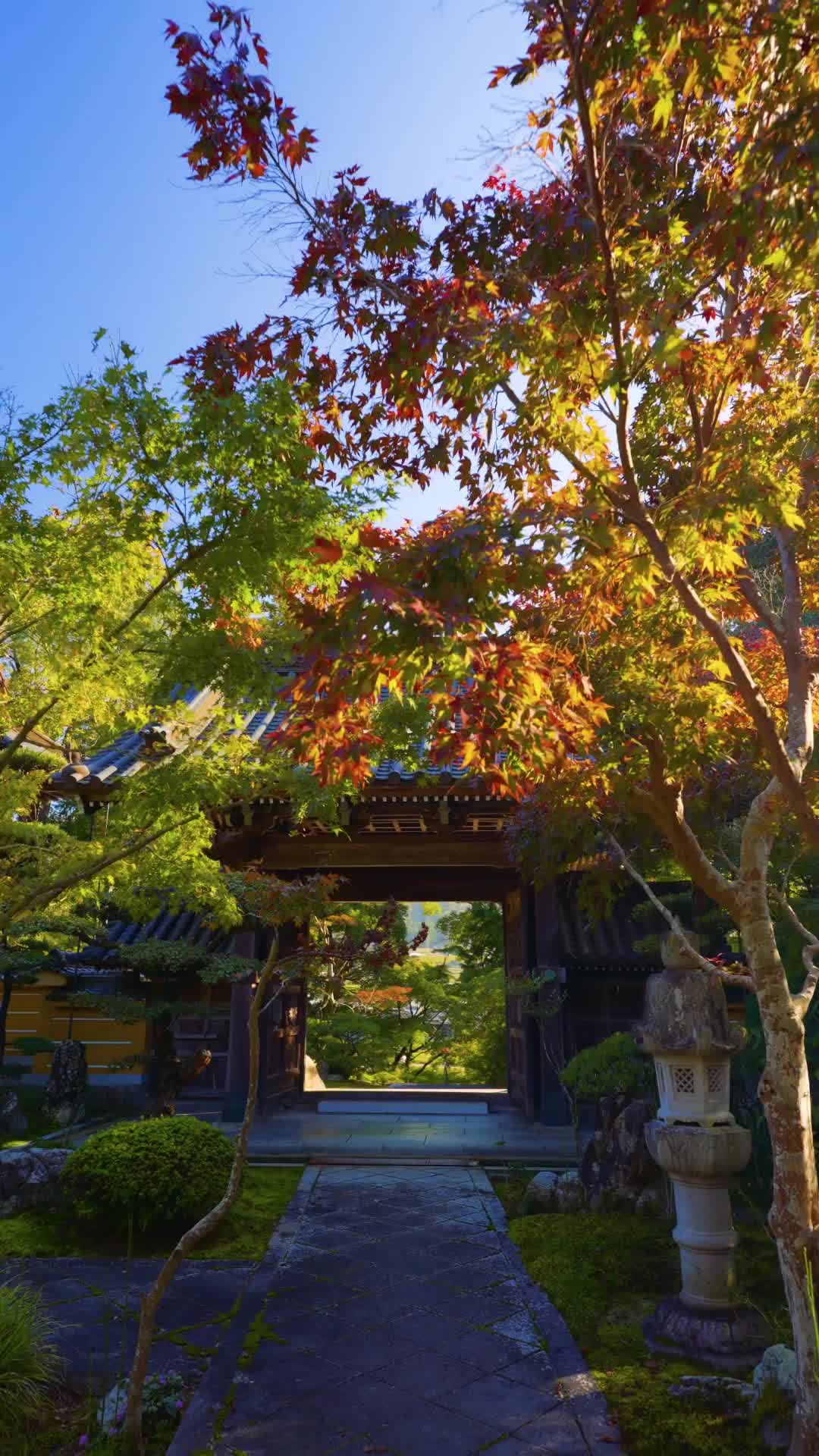 Autumn Leaves at Baokoji Temple in Mitoyo, Japan