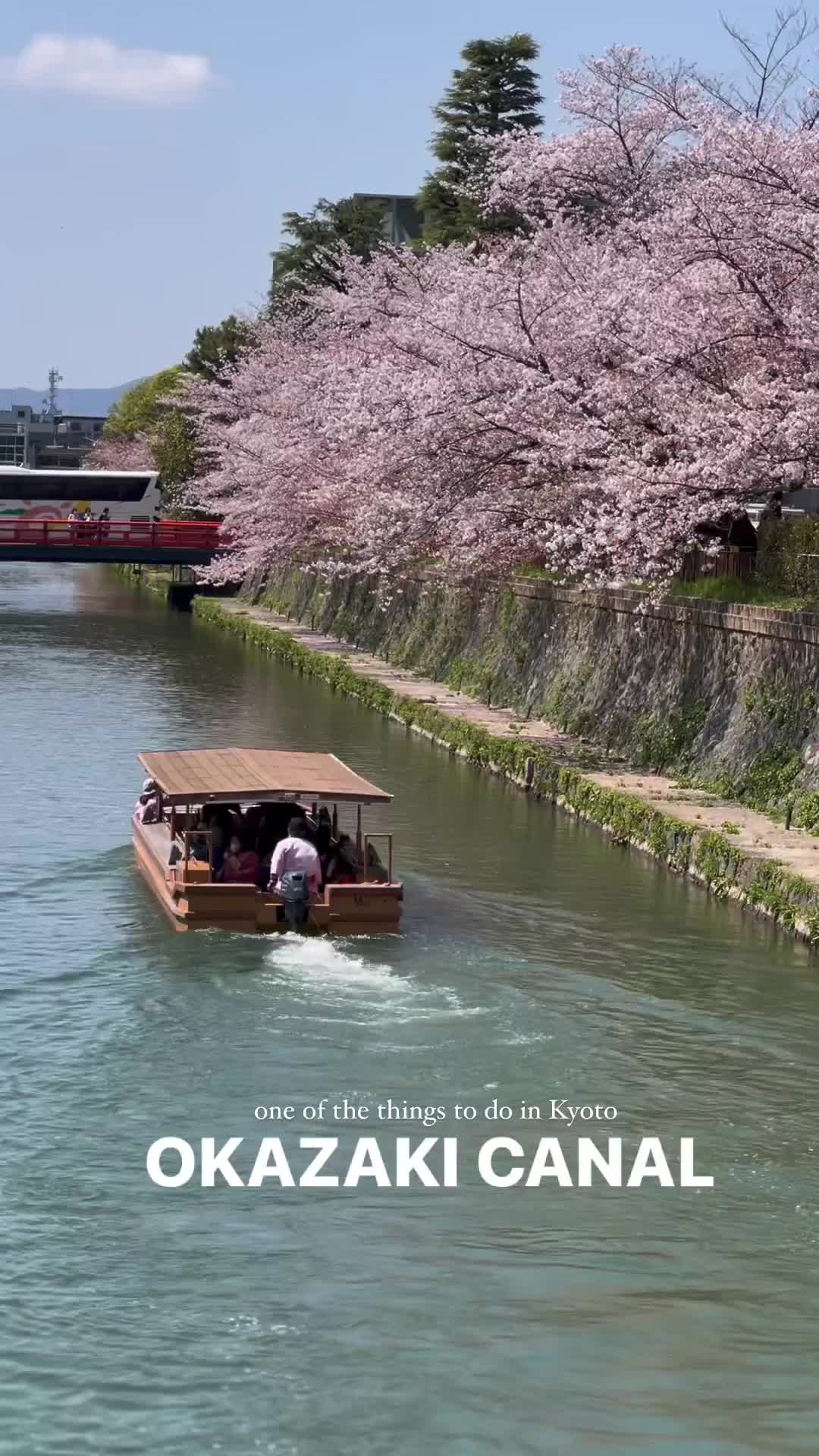 Experience Sakura by Boat on Kyoto's Okazaki Canal