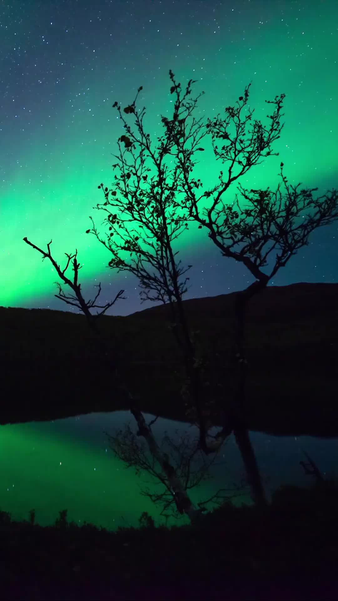 Autumn Nights in Norway: Aurora and Starry Skies