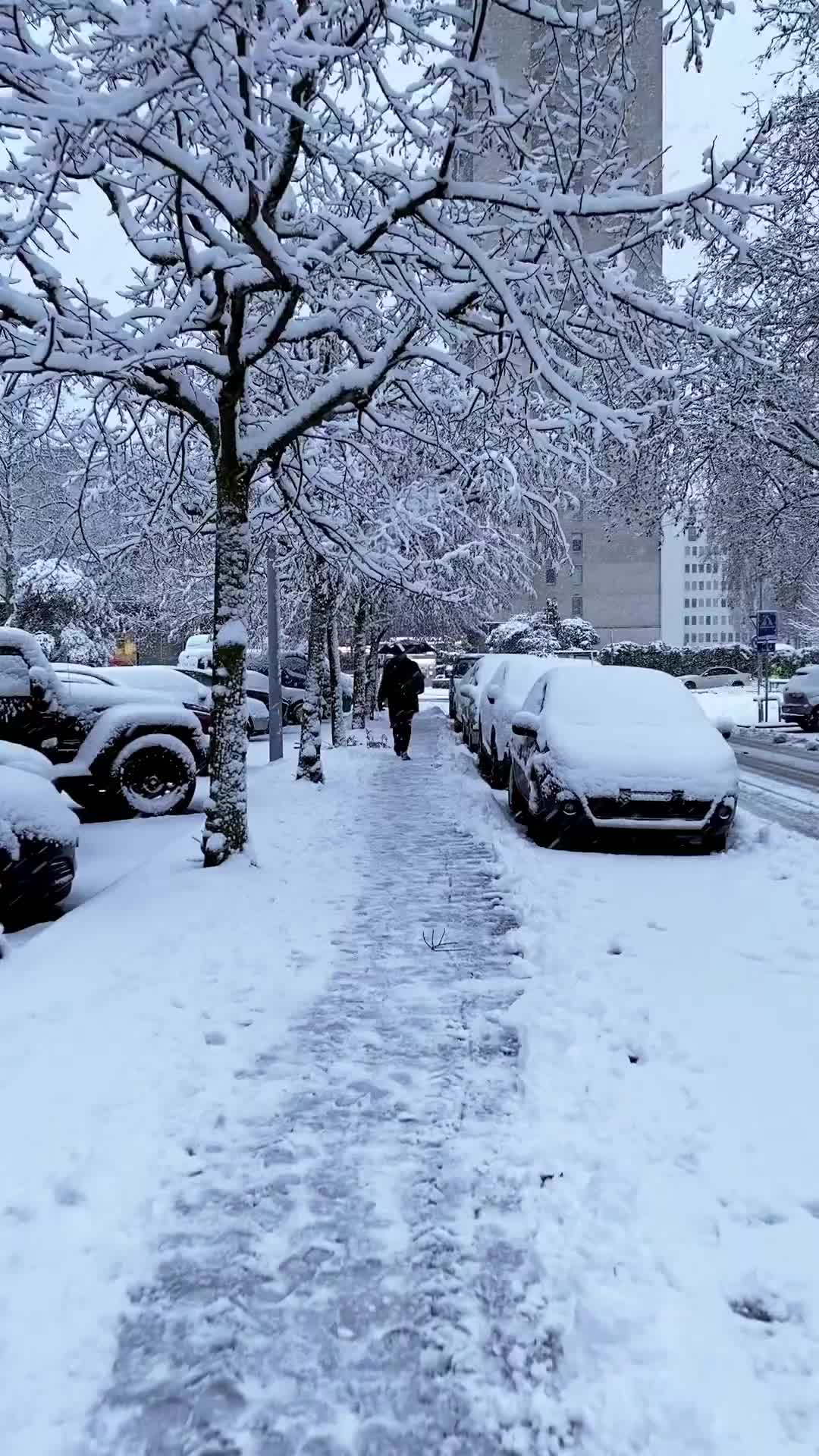 Second Snowfall in Geneva Captivates the City