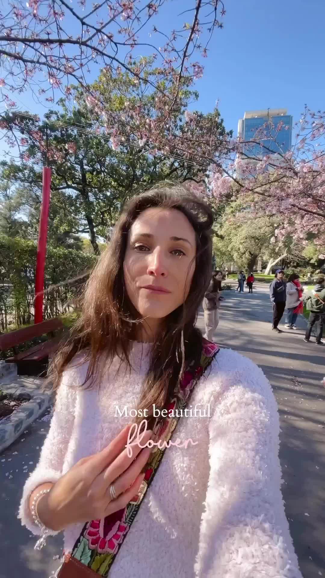 🌸✨ Sakura en el Jardín Japonés de Buenos Aires