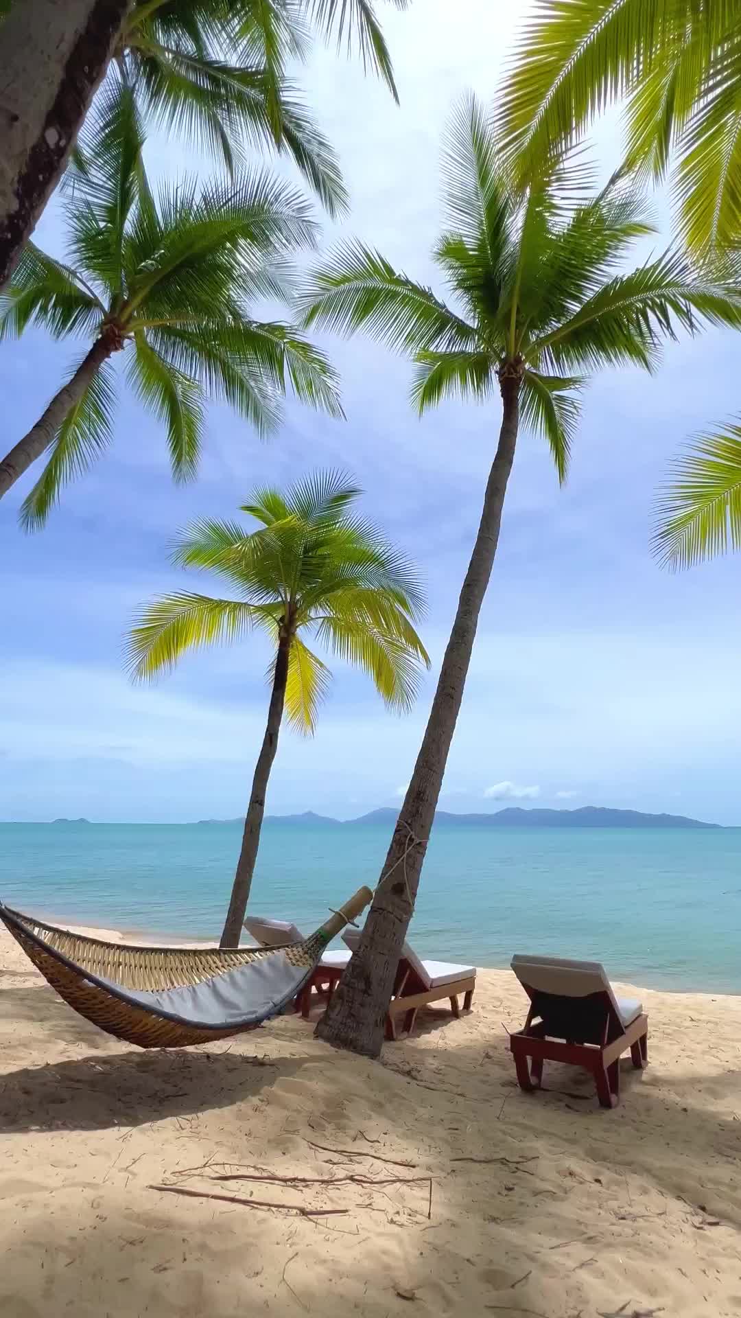Discover the Tranquil Beauty of Koh Samui, Thailand