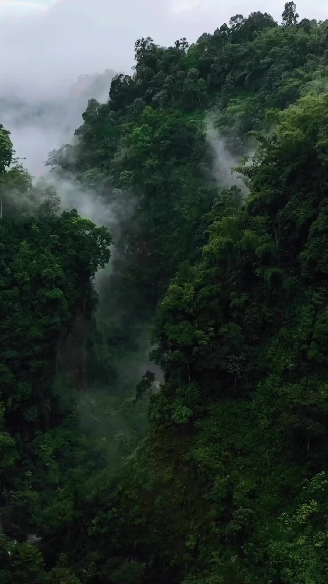 Discover Java, Indonesia: Nature's Paradise Awaits