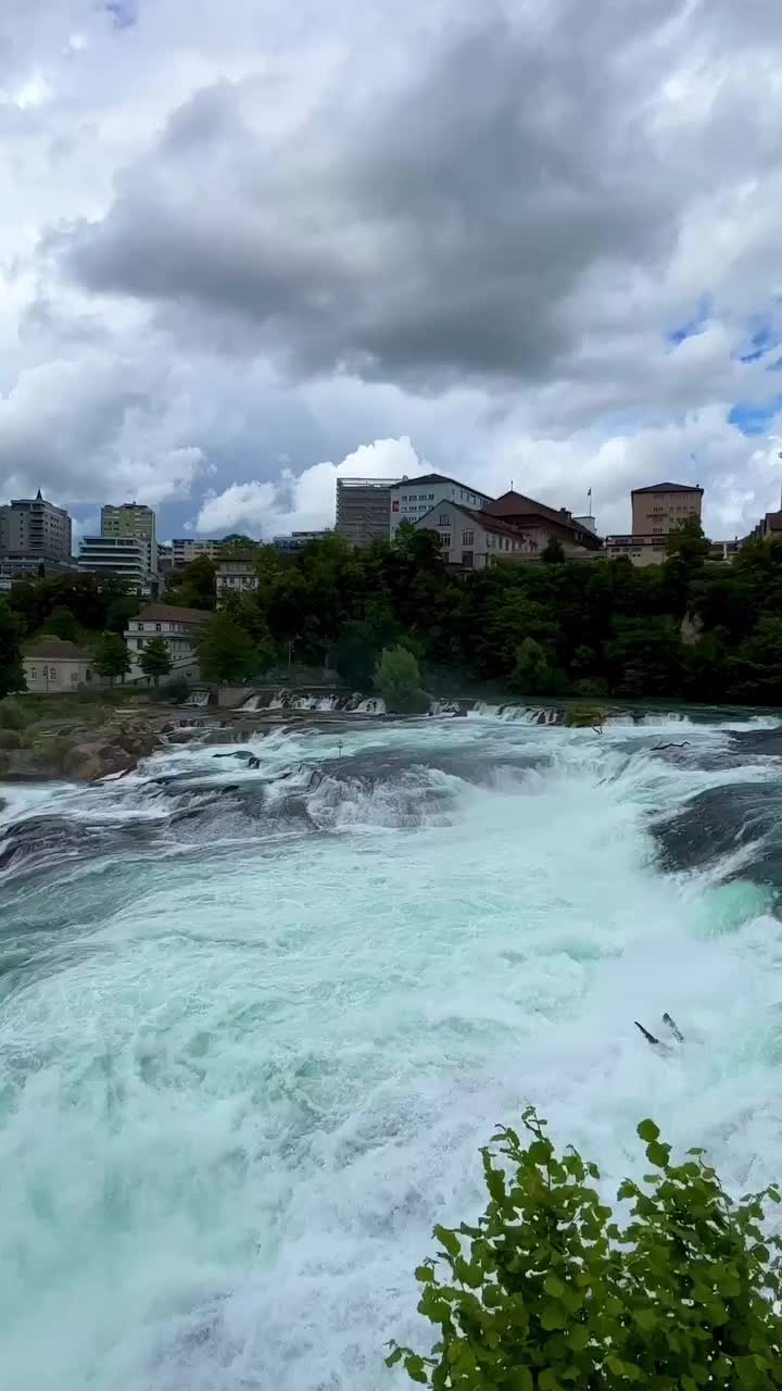 Discover Rhine Falls: Switzerland's Natural Wonder