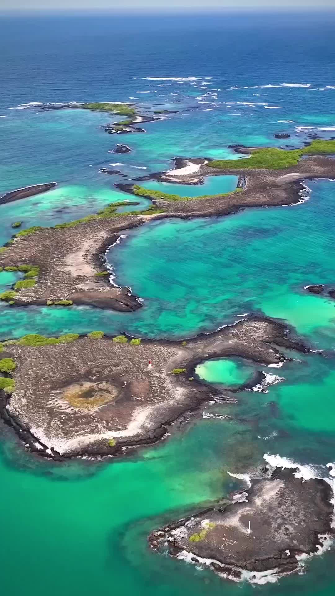 Discover El Islote Las Tintoreras in Galapagos 🏝️🇪🇨