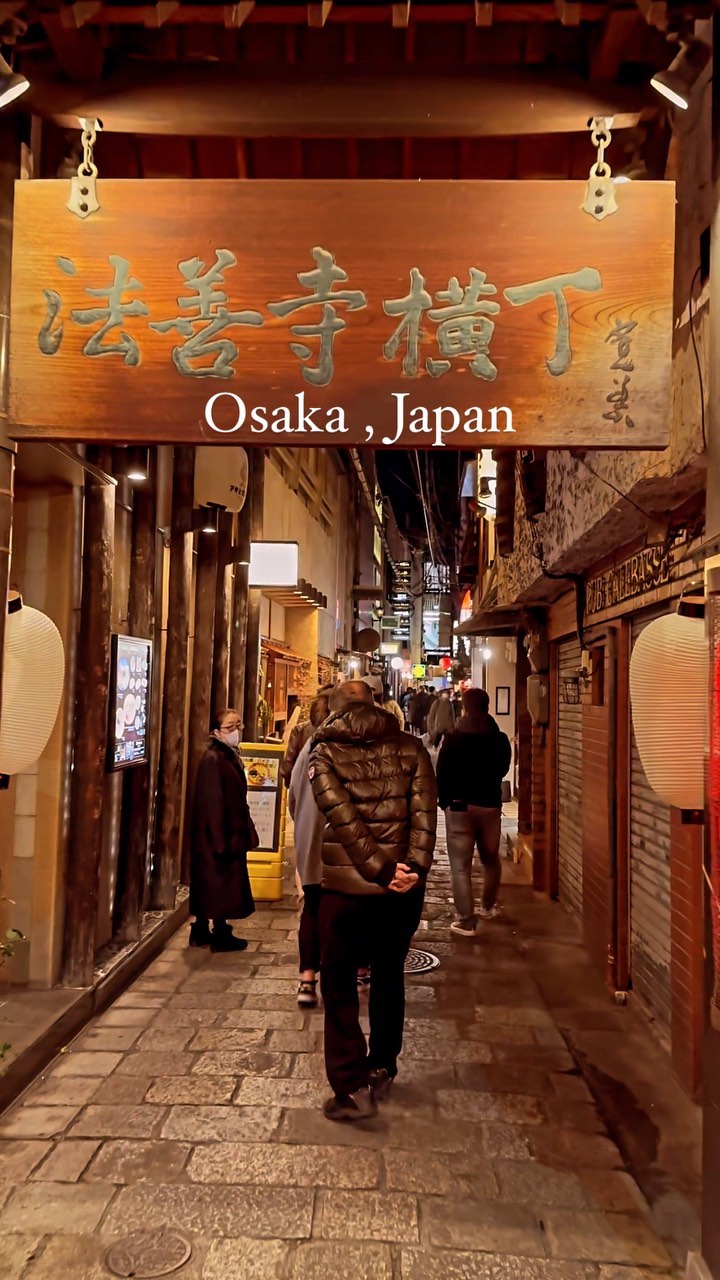 Cultural and Culinary Delights of Osaka in 2 Days