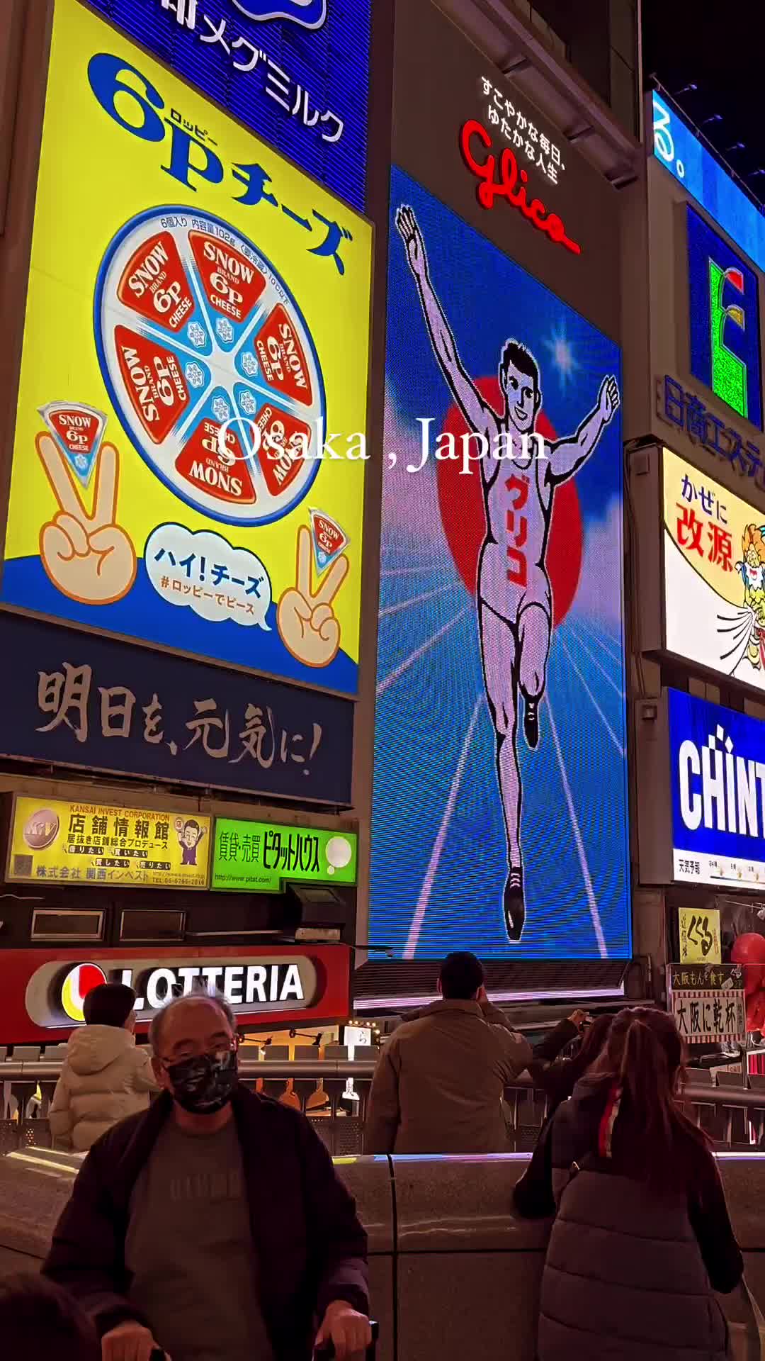 Discover the Magic of Osaka, Japan at Night