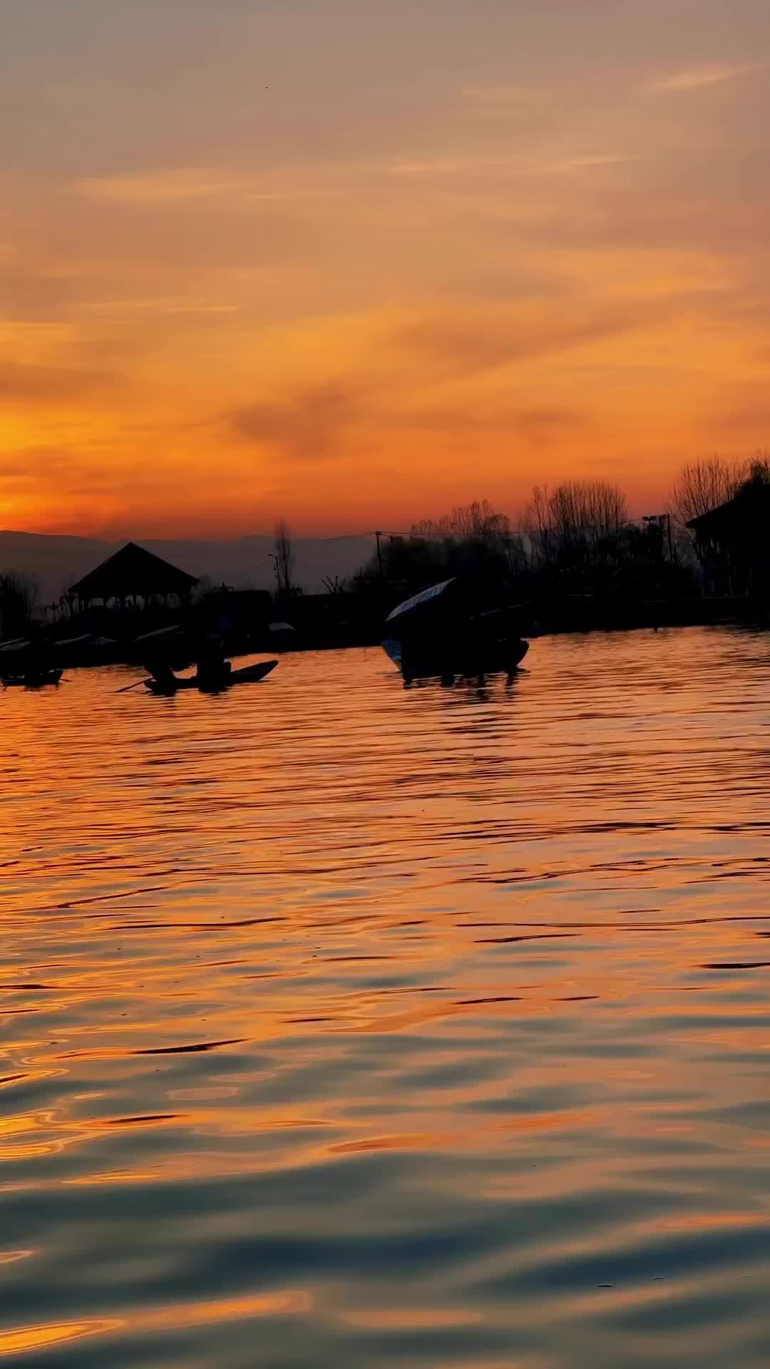 Tranquil Dal Lake Sunset: A Journey in Srinagar, Kashmir