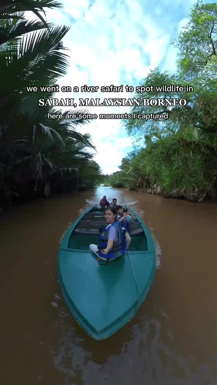 Wildlife Adventure on Kinabatangan River, Borneo