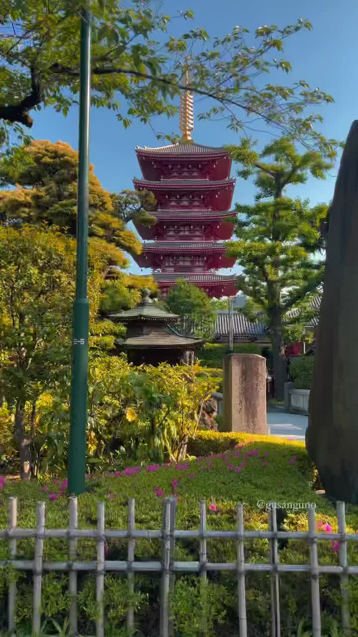 Japanese garden and pagoda 🌿
📍Asakusa temple, Tokyo 

One point lesson: 🇯🇵 x 🇬🇧 x 🇲🇨
しぜん (自然) : Nature | Alam 
にわ (庭) : Garden | Kebun 
こうえん (公園) : Park | Taman 
おてら (お寺) : Temple | Kuil 
しろ (城) : Castle | Kastil 
.
.
.
.
.
#japangarden #japanesegarden #japan_of_insta #japan_daytime_view #japan_vacations #japan_nature_photo #asakusa #asakusatemple #浅草 #tokyo #nature #fyp #instagood #japantravel #myjapan #japaneseart #jepang #belajarbahasajepang #tiktokjepang #tkijepang #temple #castle