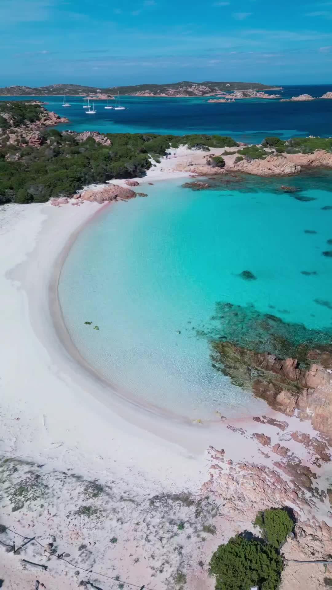 Spiaggia Rosa. Budelli. 

#spiaggiarosa 
#budelli 
#lamaddalena 
#sardinia 
#sardegna 
#italy 
#ig_italia
#unionesarda 
#lanuovasardegna 
#volgosardegna 
#sardegna_reporter 
#tlpicks
#passionpassport
#travellingthroughtheworld
#naturelovers 
#discoverhearth 
#travelawesome 
#vacation 
#placestovisit 
#beautifuldestinations 
#wonderful_places 
#bestplacestogo 
#natgeo 
#tropical 
#travel 
#nature 
#watercolors 
#discoverglobe
#videooftheday