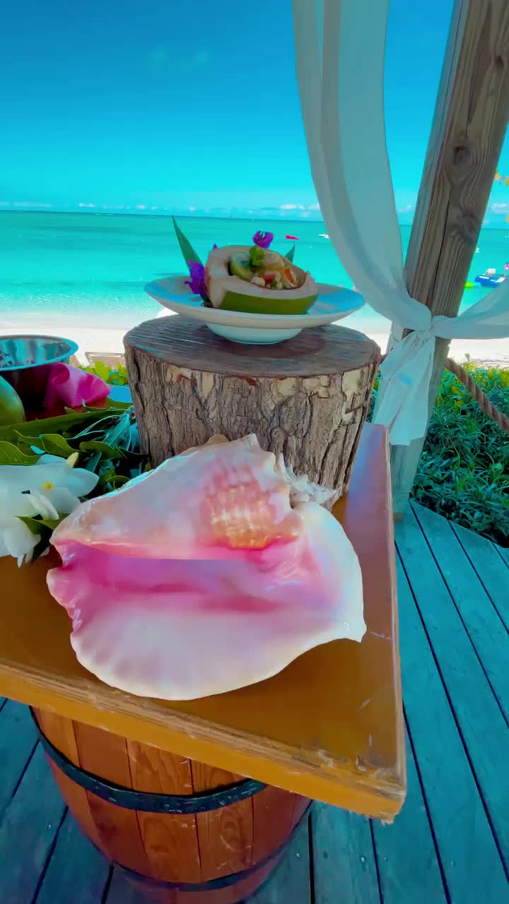 Private Chef Experience on the Beach in Turks & Caicos